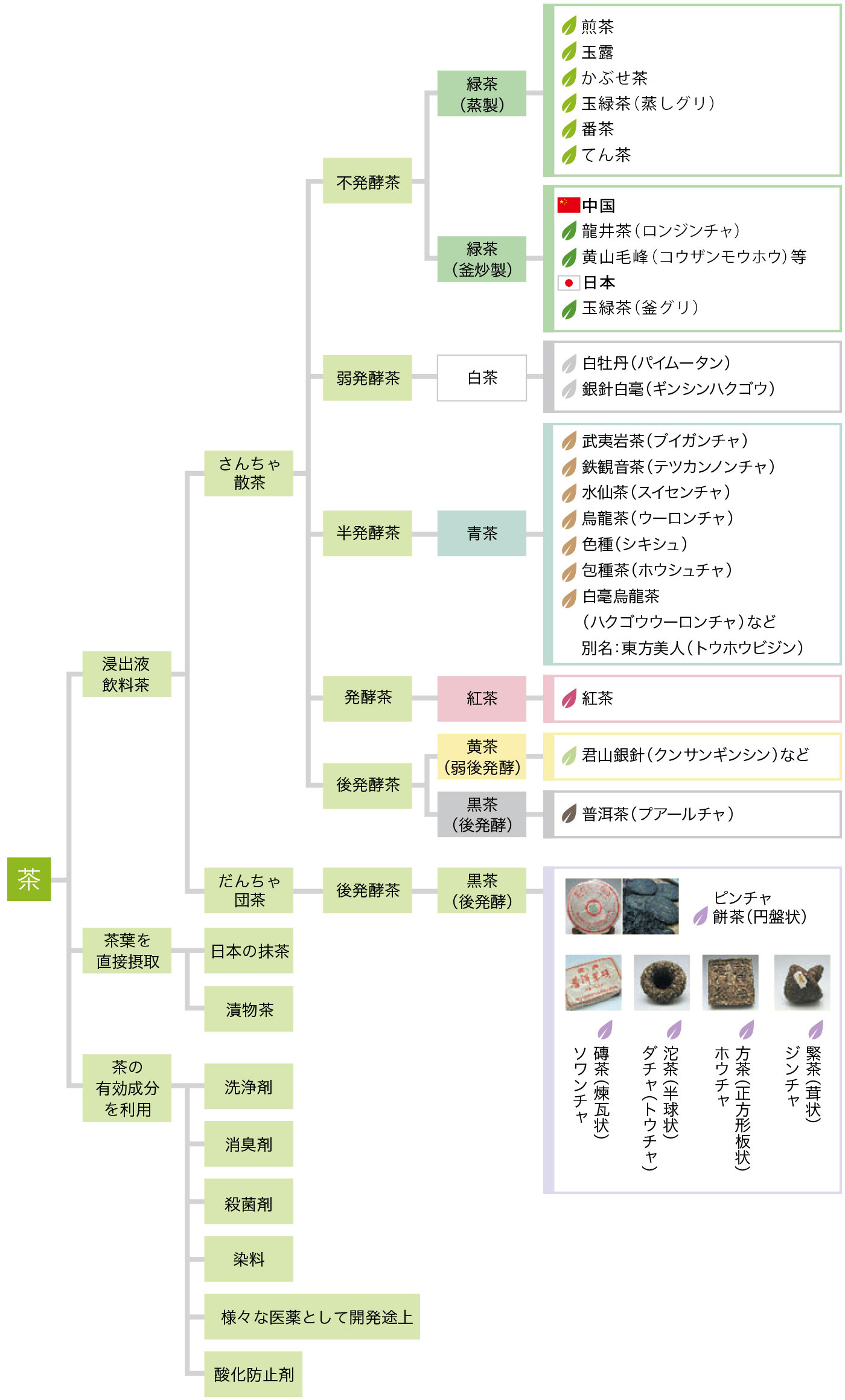 図で見るお茶の種類