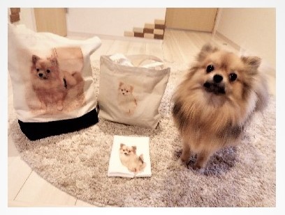 オリジナルプリント 始めました!