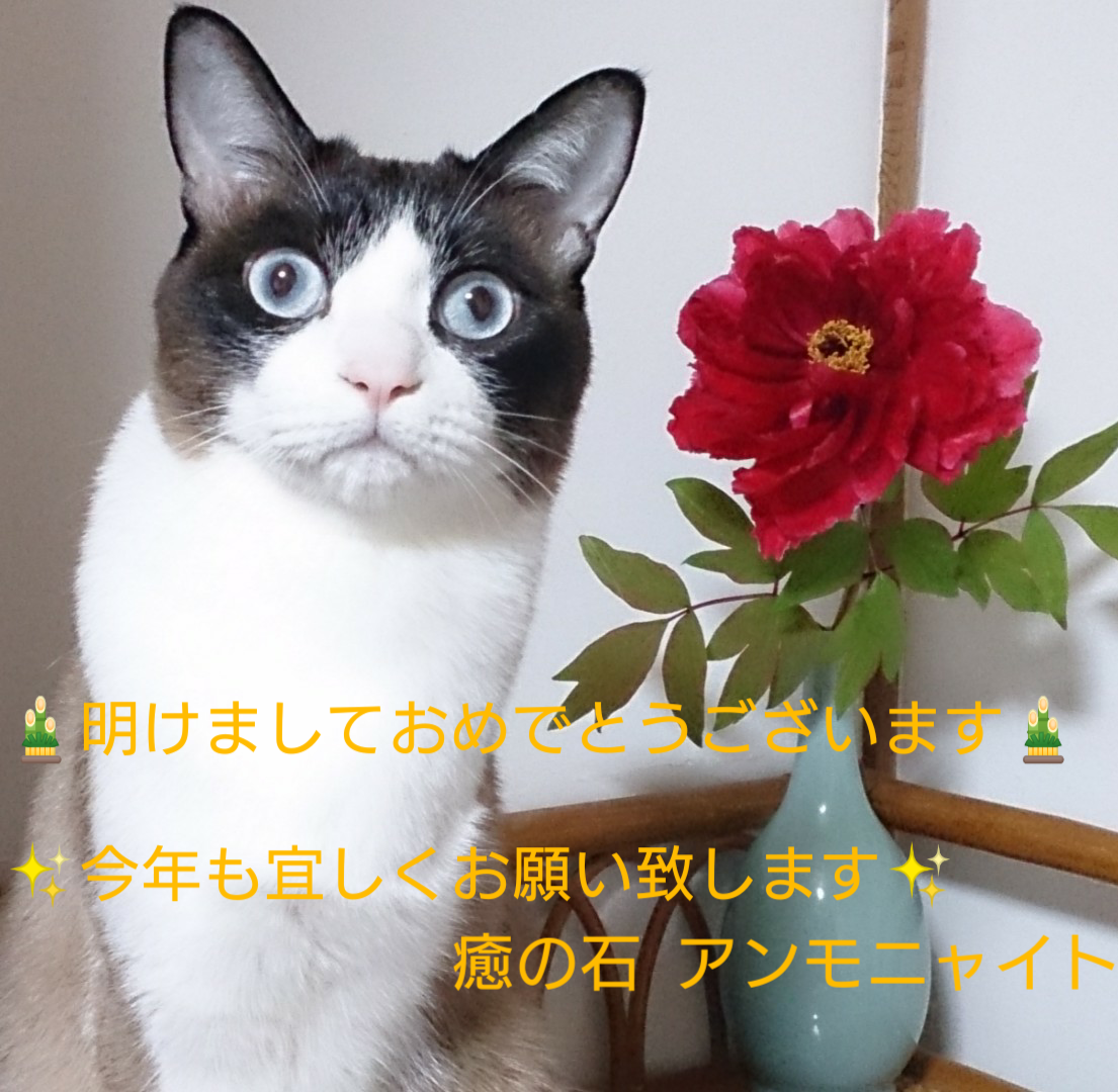 明けましておめでとうございます🌅