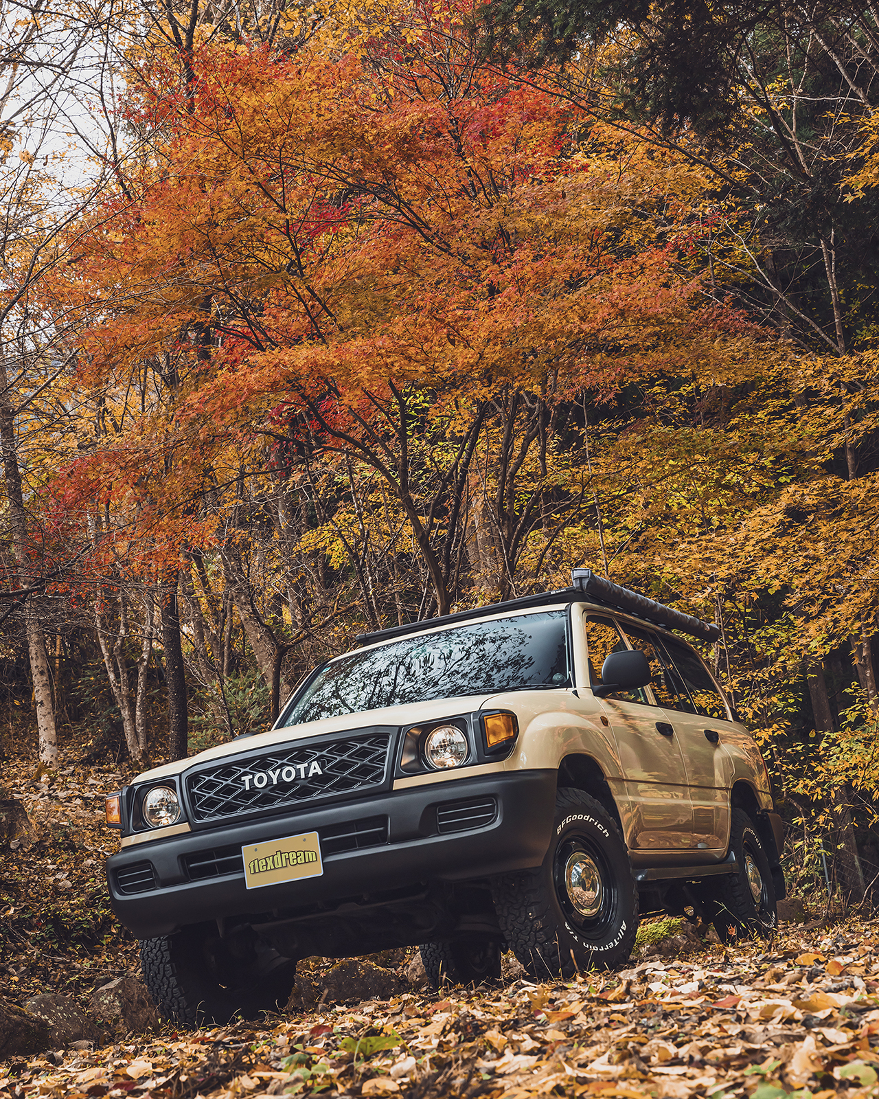 お気に入りの丸目ランクル100に乗って、紅葉狩りドライブへお出かけしよう🍁☺️
