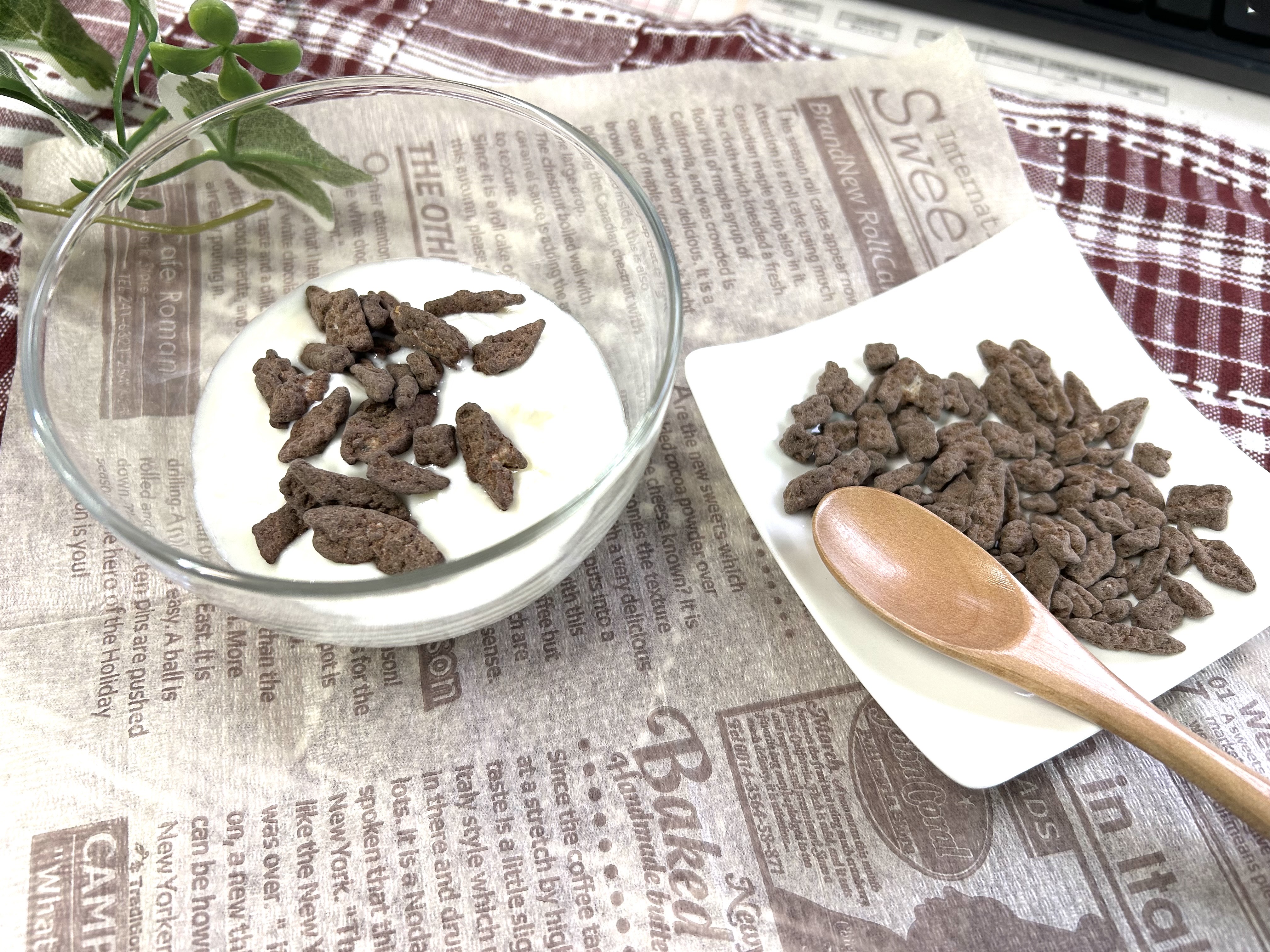 新発売の日向夏ピールチョコチップスをヨーグルトと一緒に♪