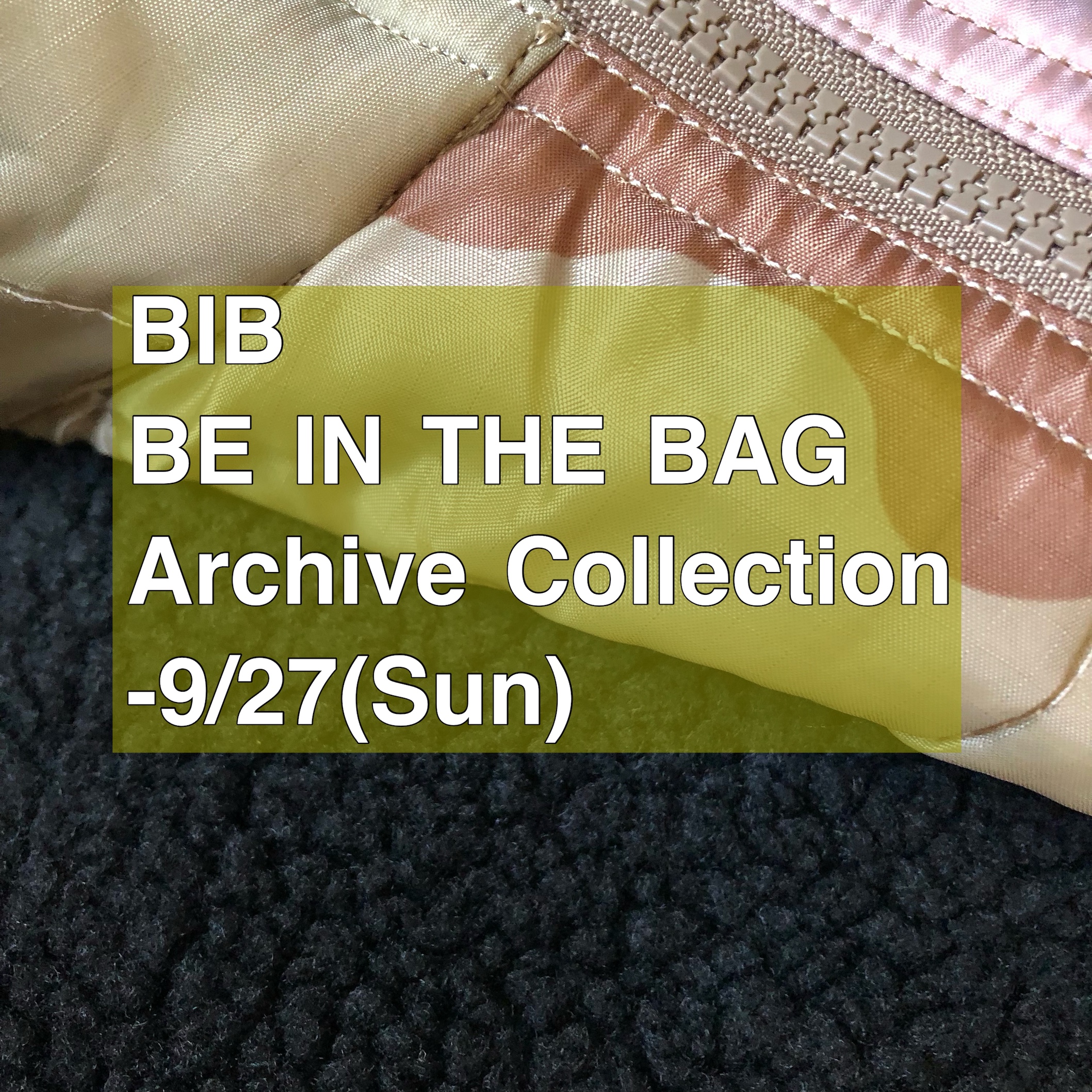 Archive Collection Final