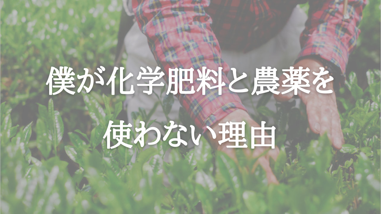 【有機栽培を続ける理由】なぜ僕が化学肥料と農薬を使わないのか？