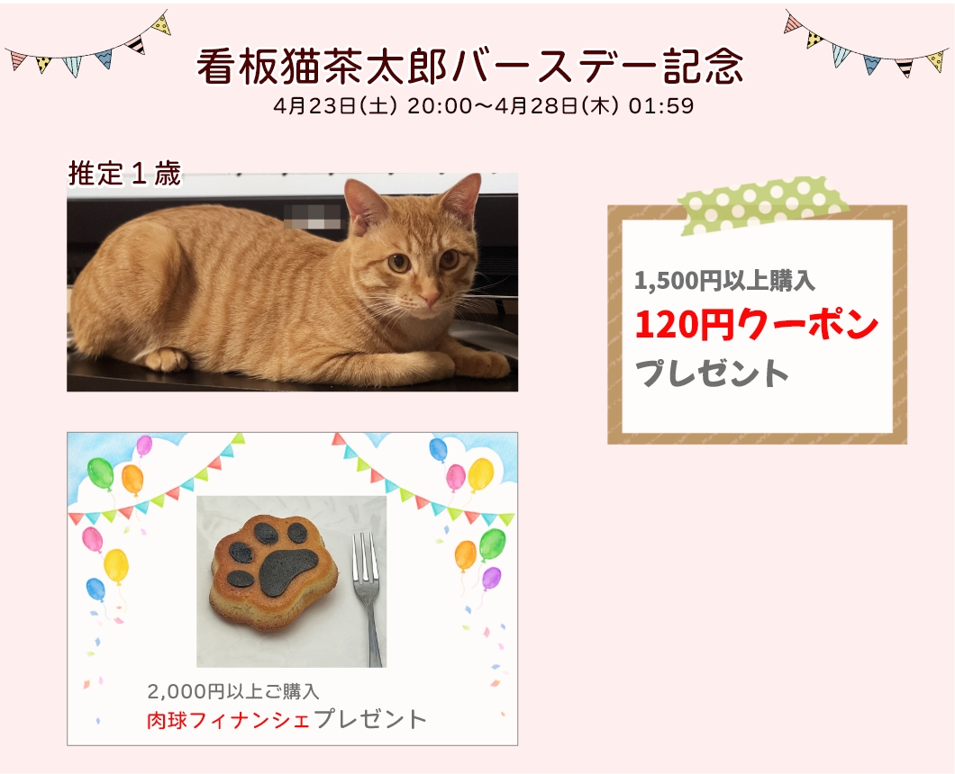 看板猫茶太郎バースデー記念イベント開催！