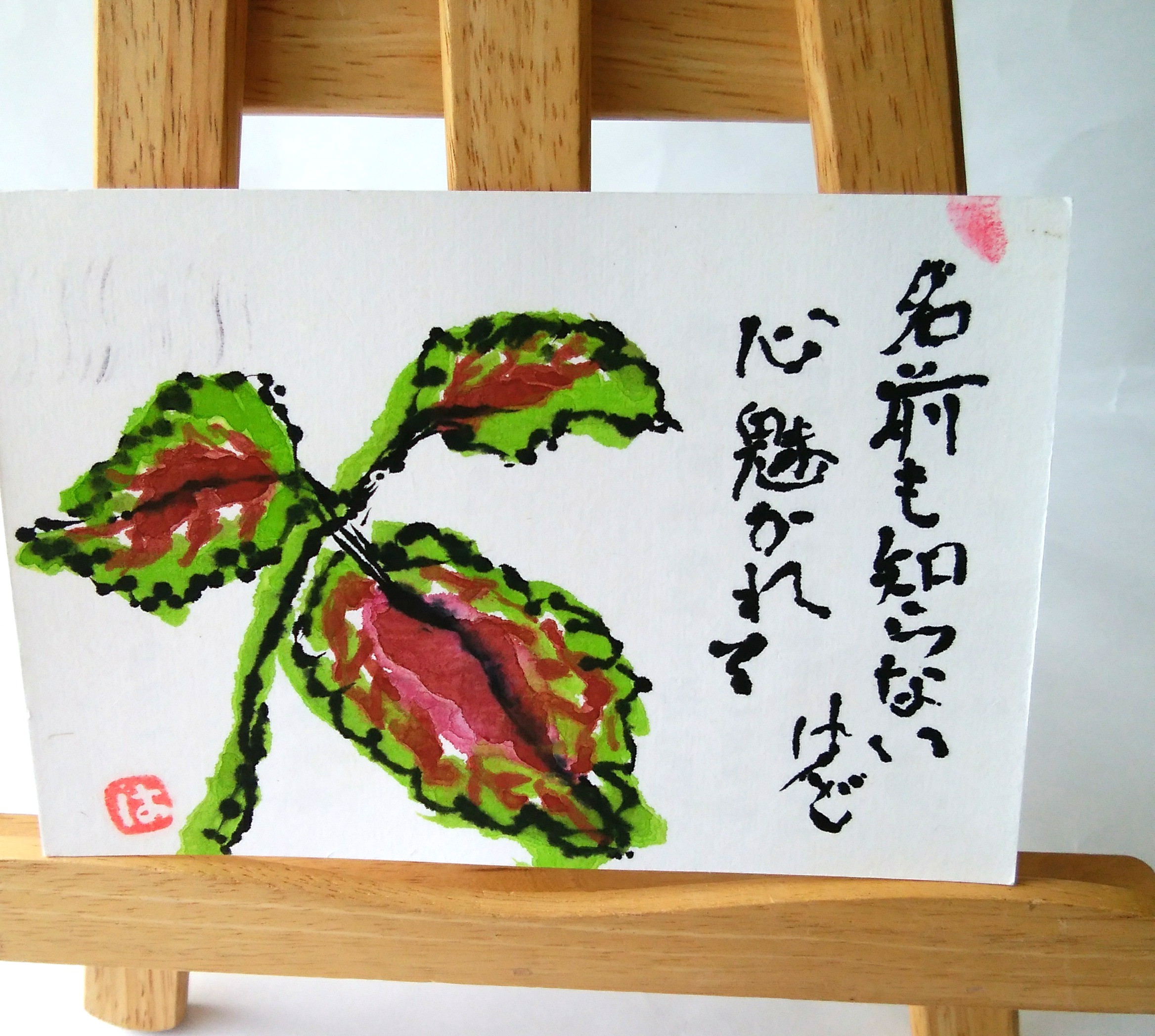 お茶はがきプレゼントの絵手紙届きました！ありがとうございます。