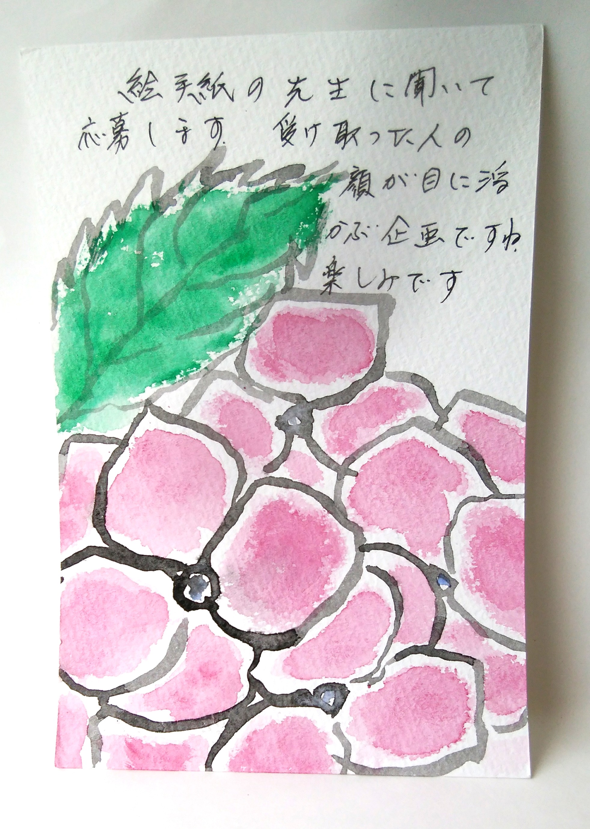 月刊絵手紙を見ての絵手紙届きました。