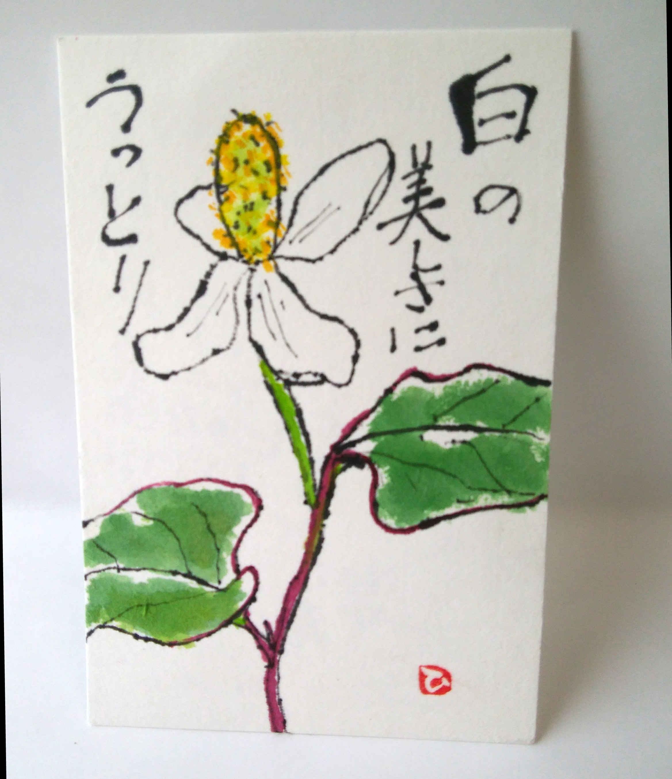 月刊絵手紙を見ての絵手紙届きました。ありがとうございました！