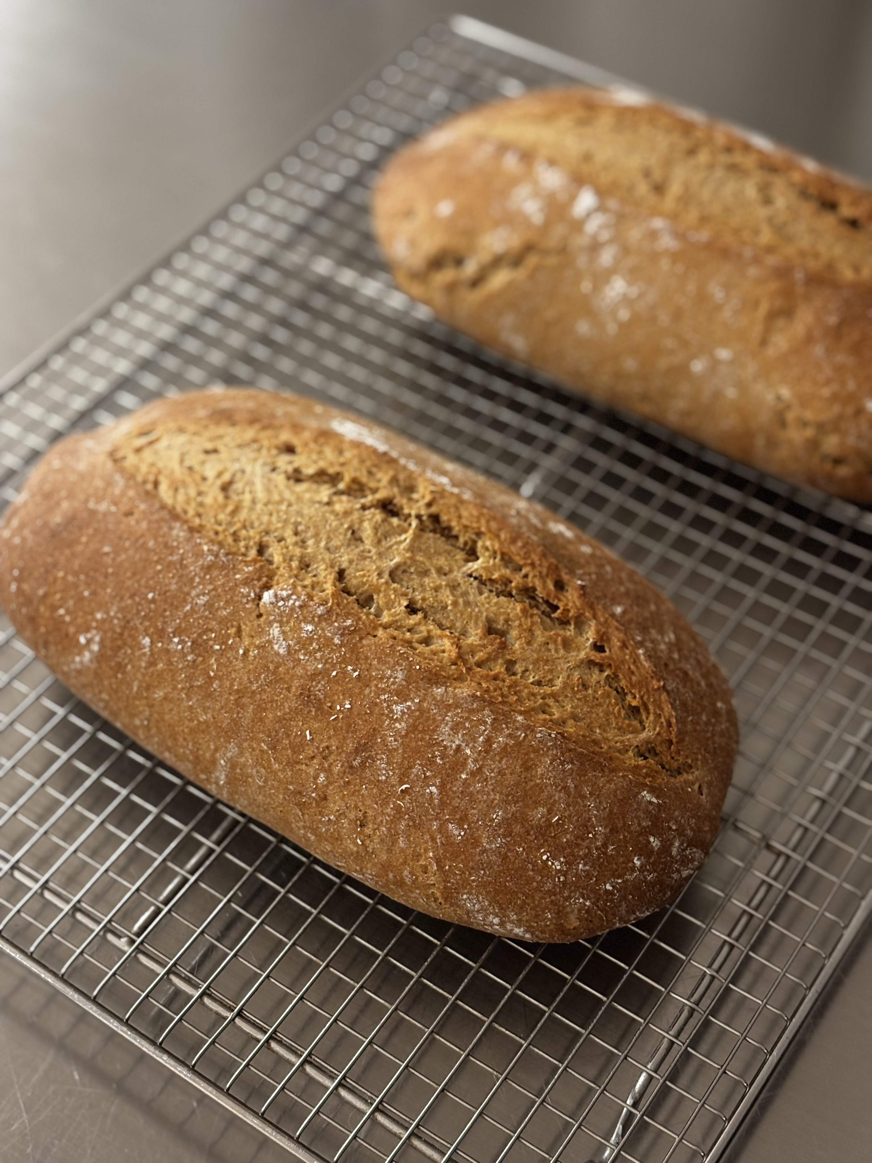 本年2026年も宜しくお願いいたします🙏🏻