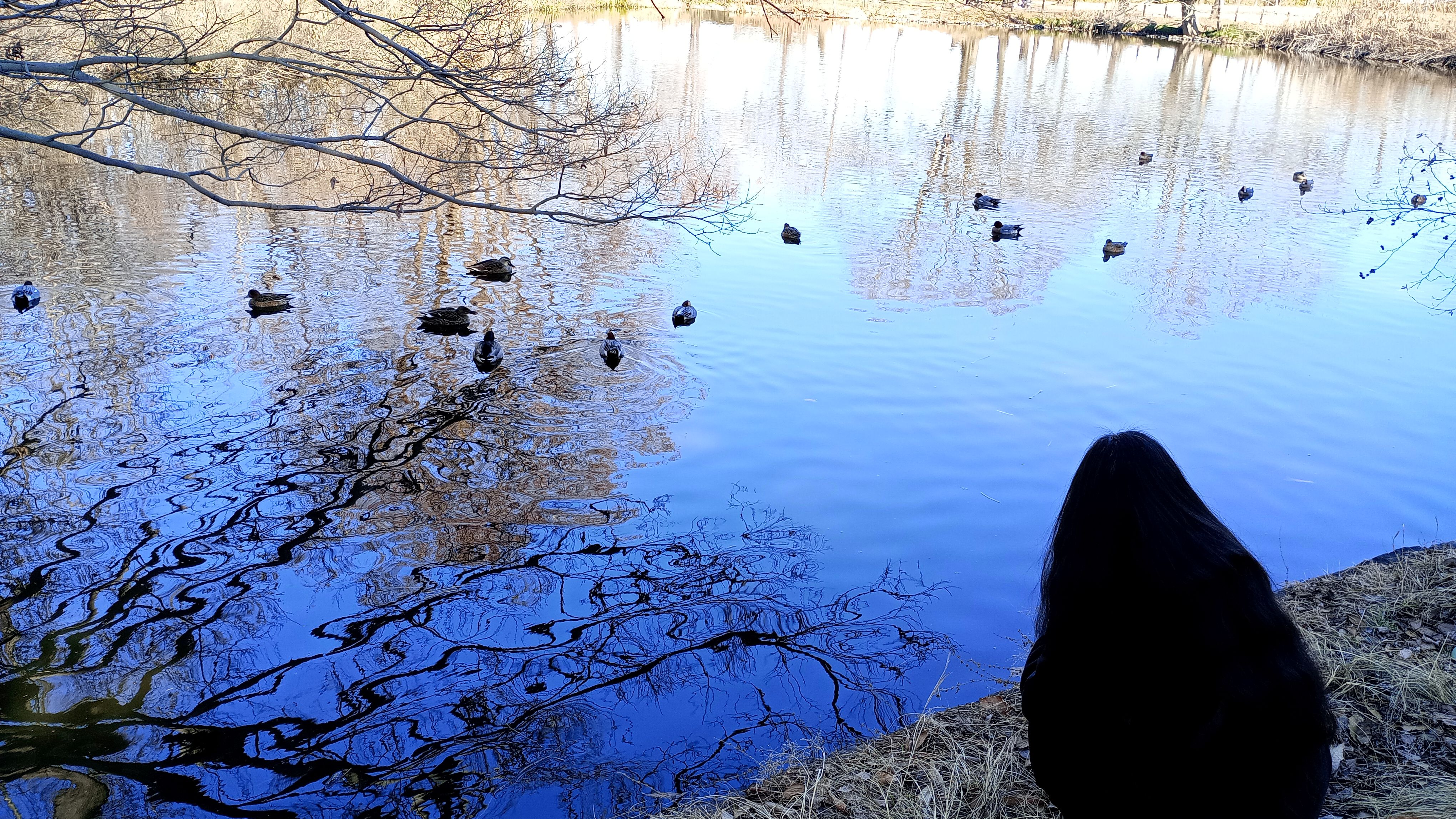 けをゆふ＃3「トリとめもない話」