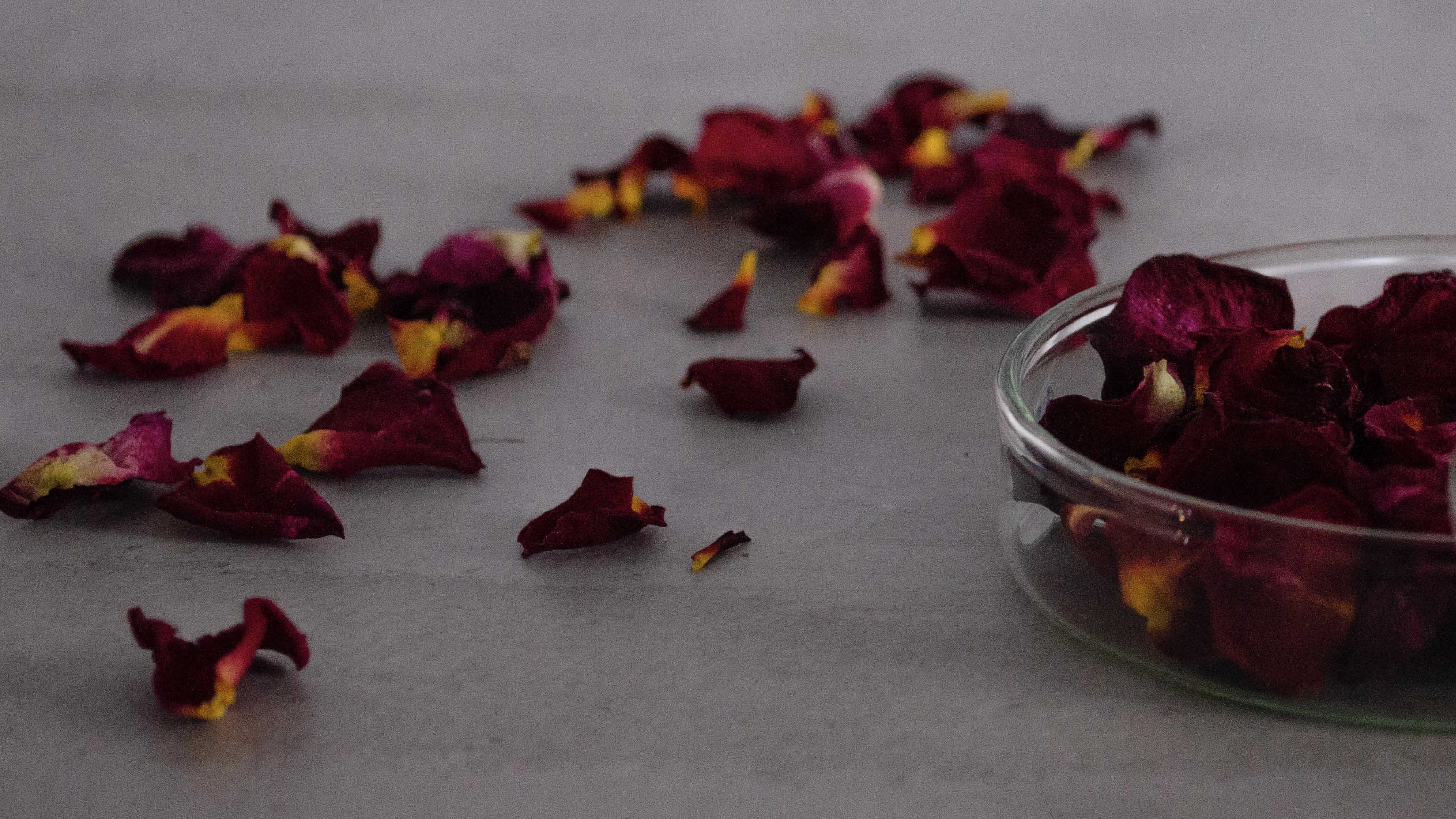 fragrance petals × fog / Mar.2022
