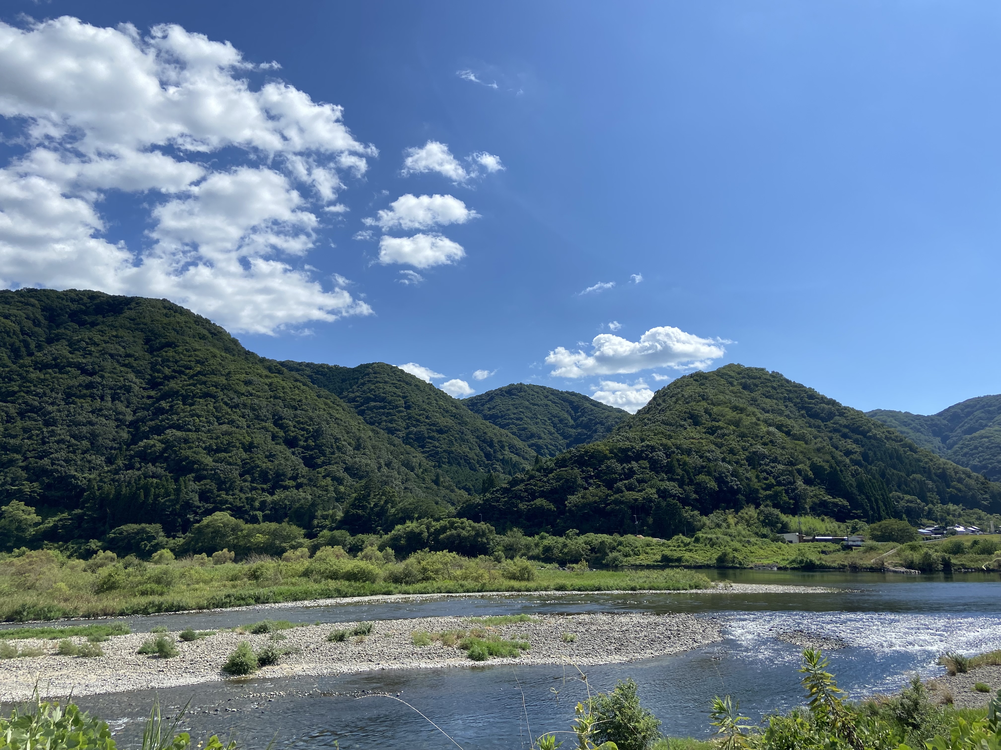 2024年販売開始のお知らせ