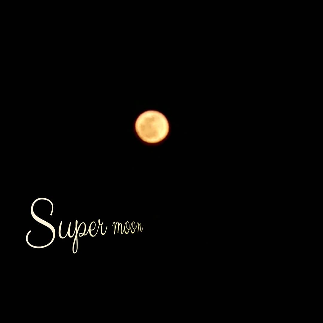 今夜は大きな月