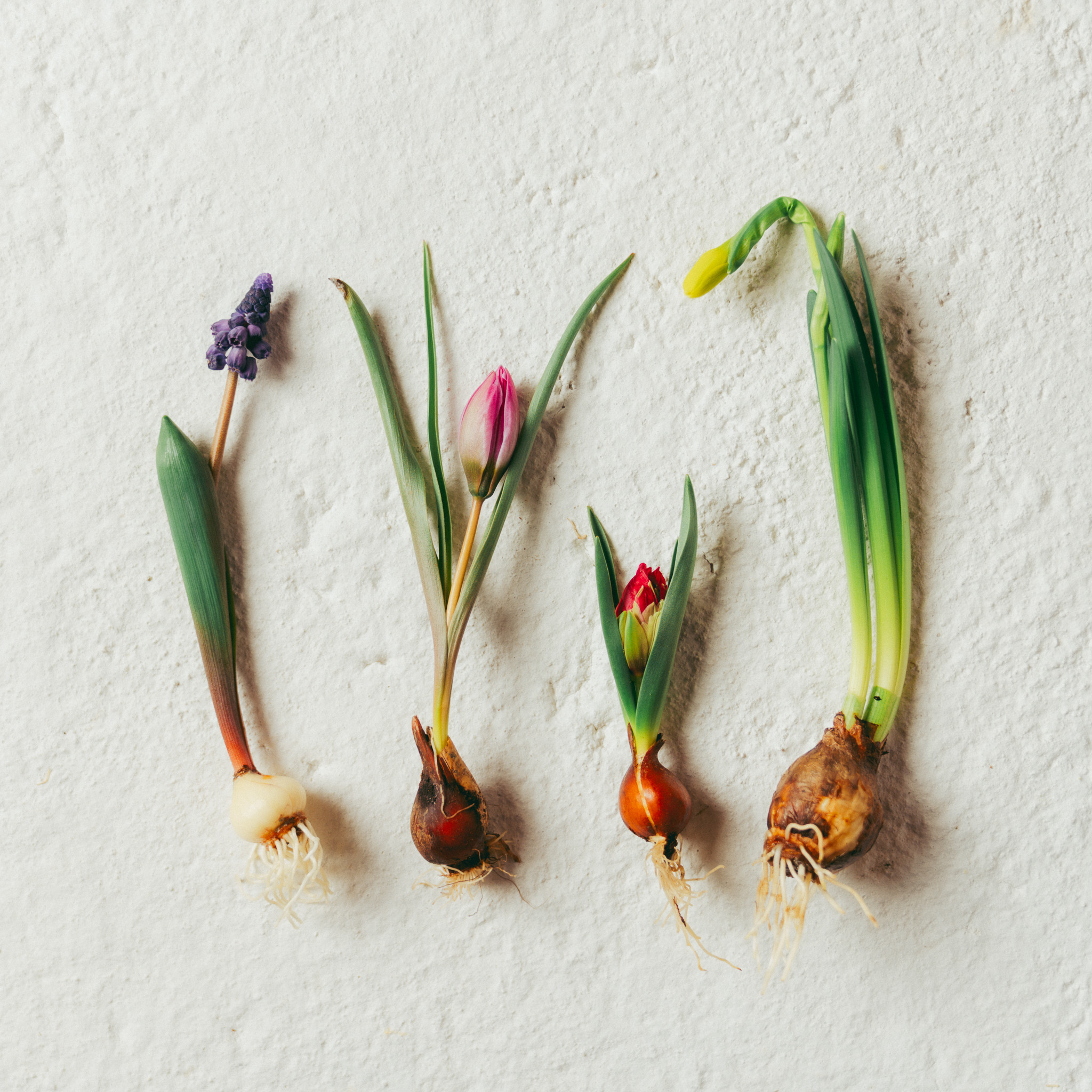 今年は誰かの正解より、“わたしの感覚”を。