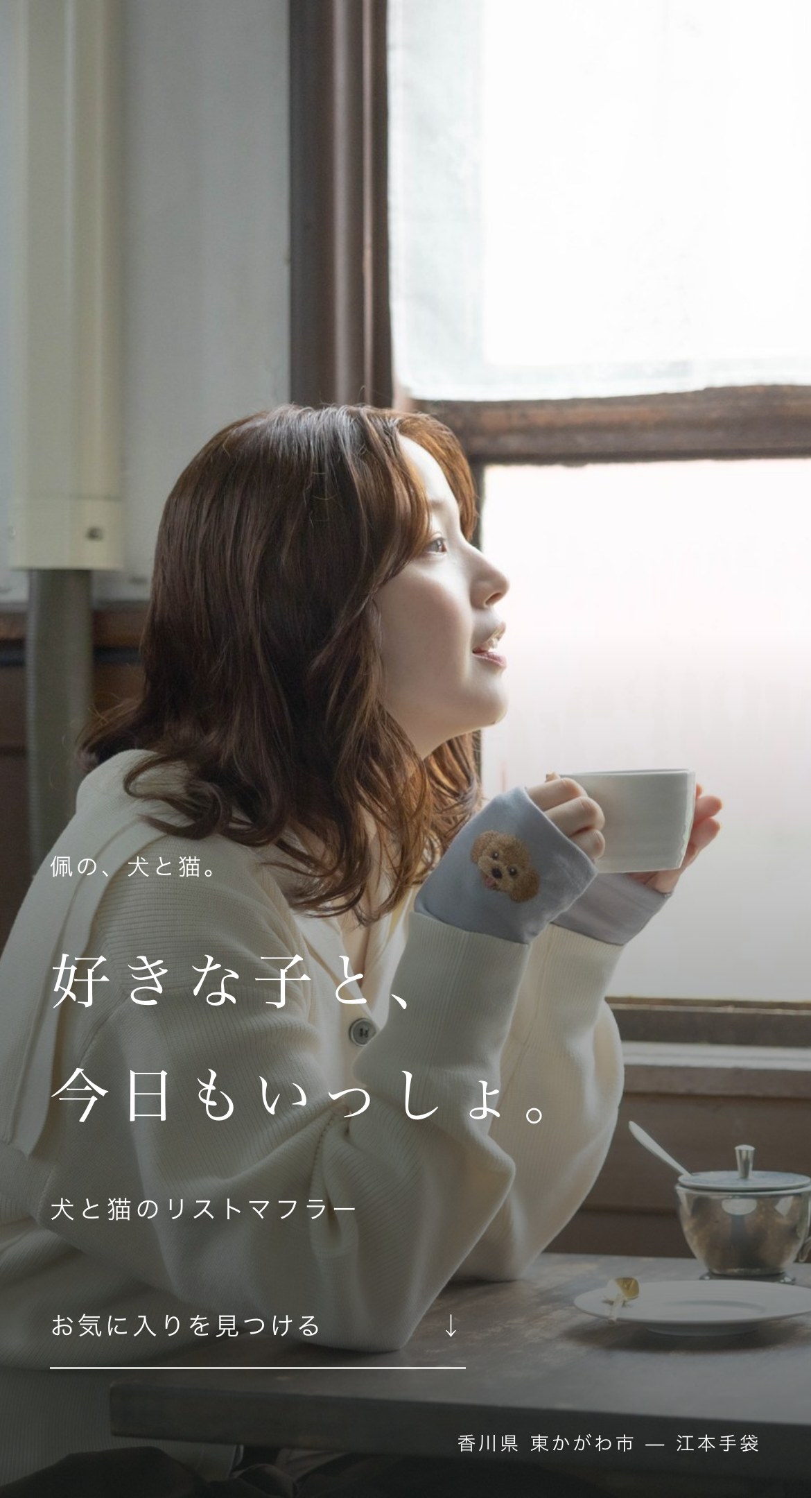この冬の手元に、犬と猫を。