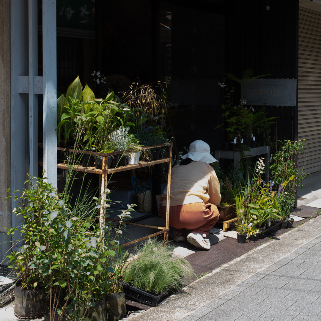 （お知らせ）「植物とお菓子の日」開催します。