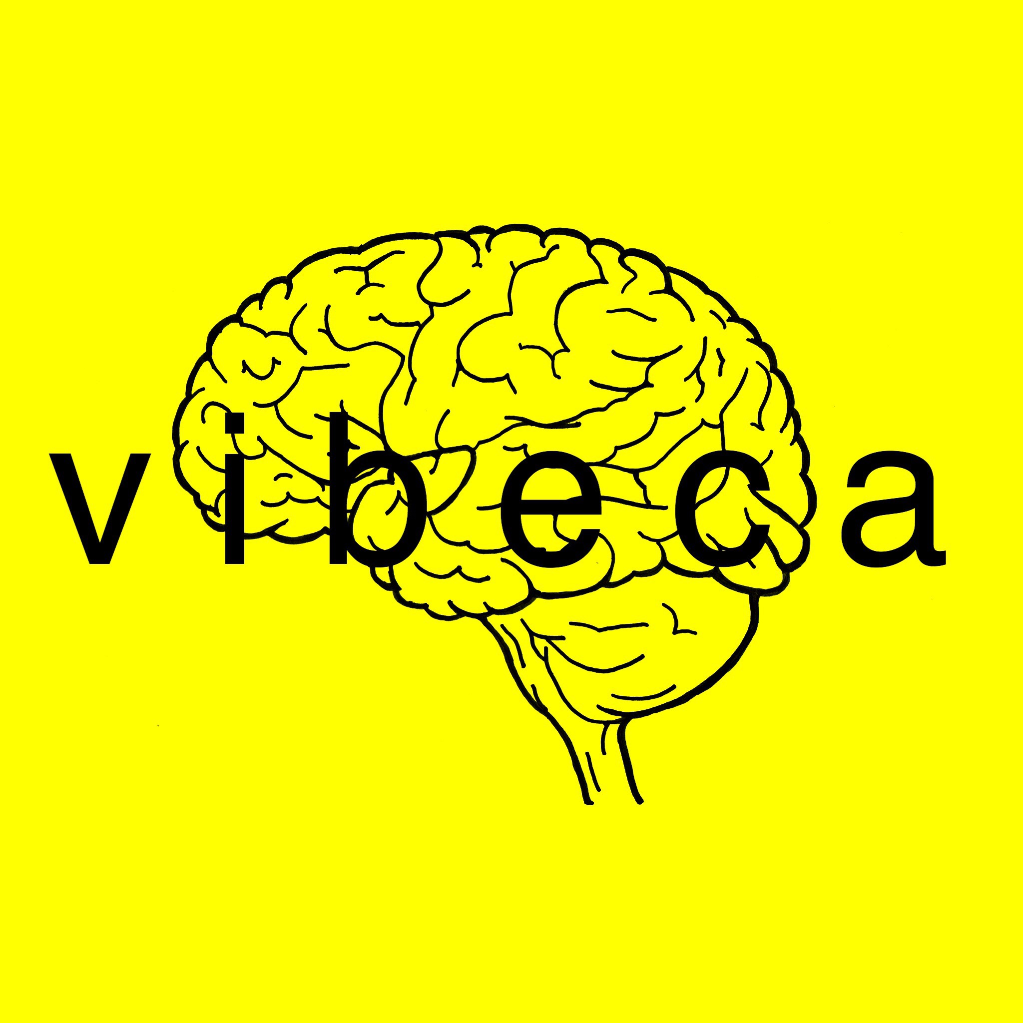 vibeca より皆様へのご挨拶、購入前に必ずお読みください。