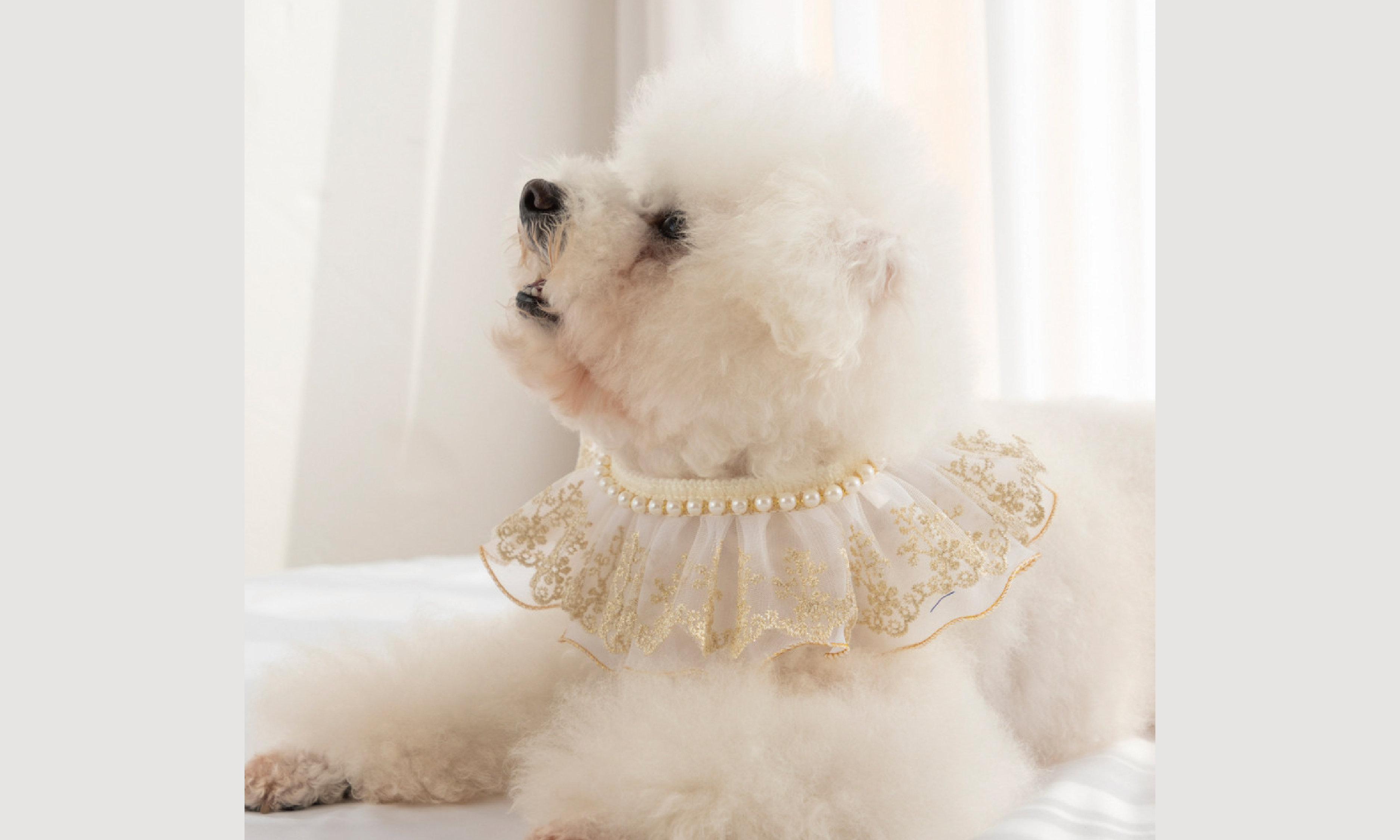★小型犬用のかわいいスタイ★