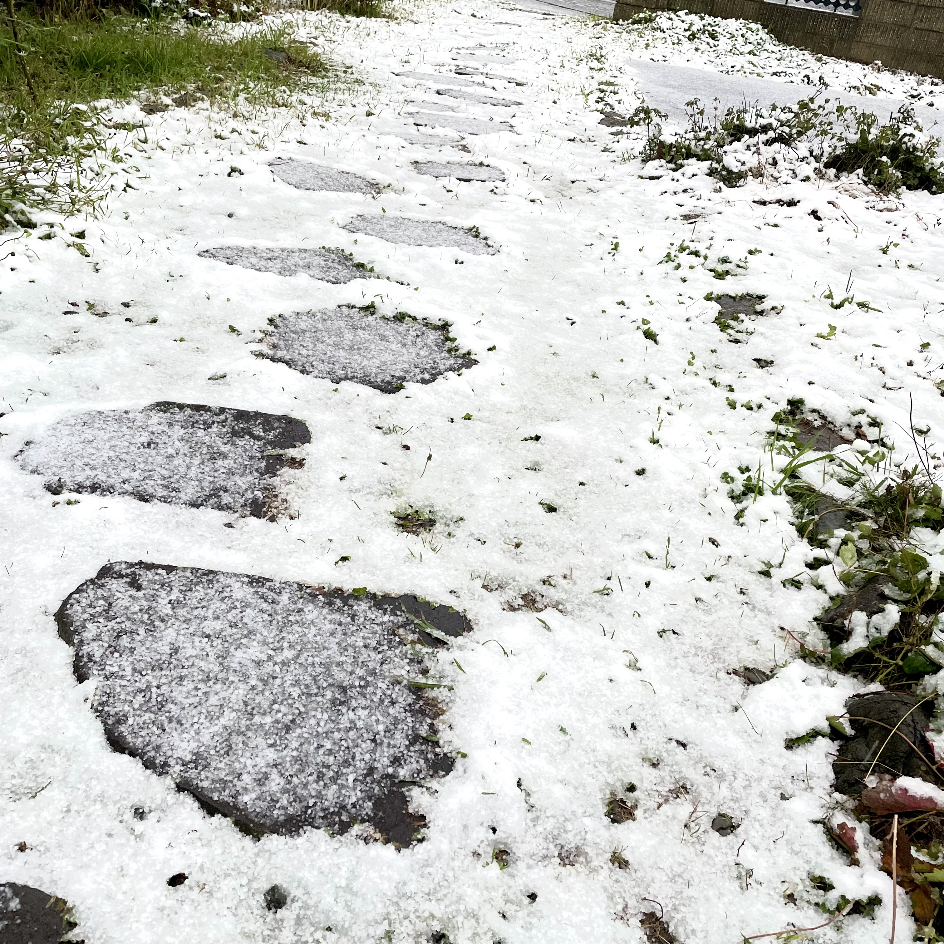 雪