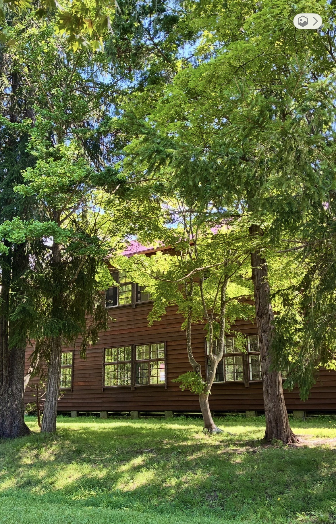 美術館