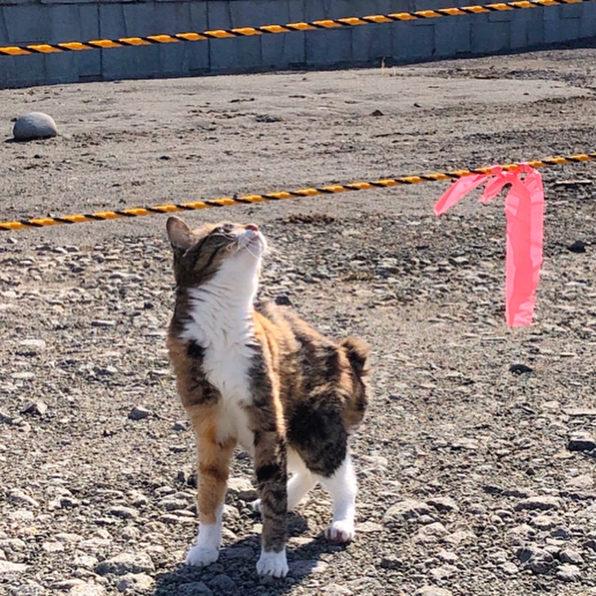 気になること…