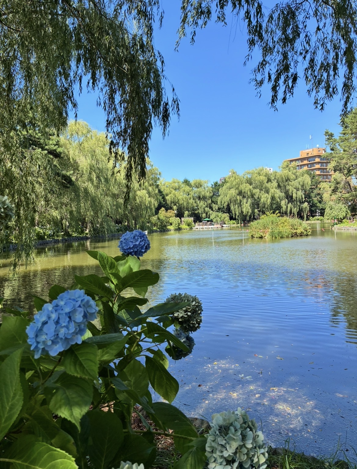 月寒公園