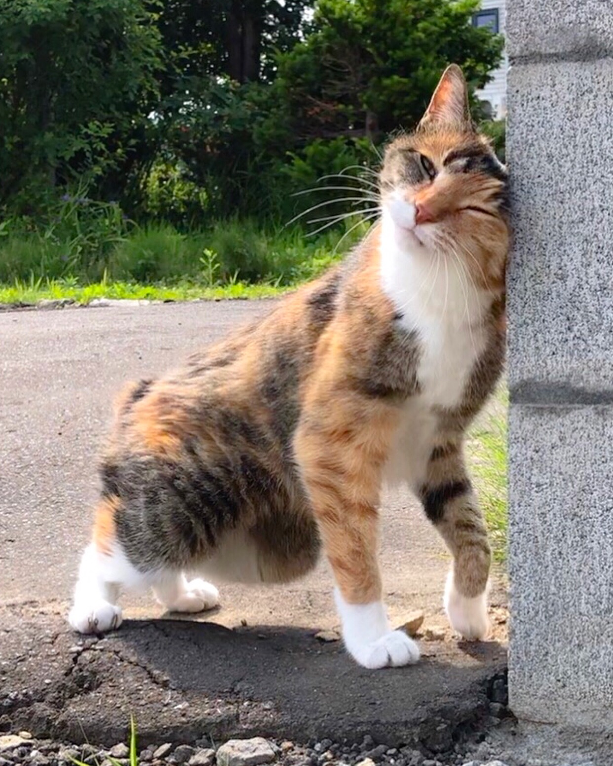 札幌