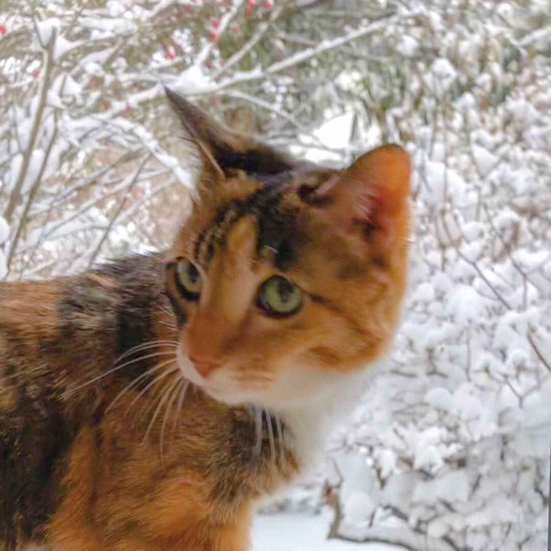 吹雪