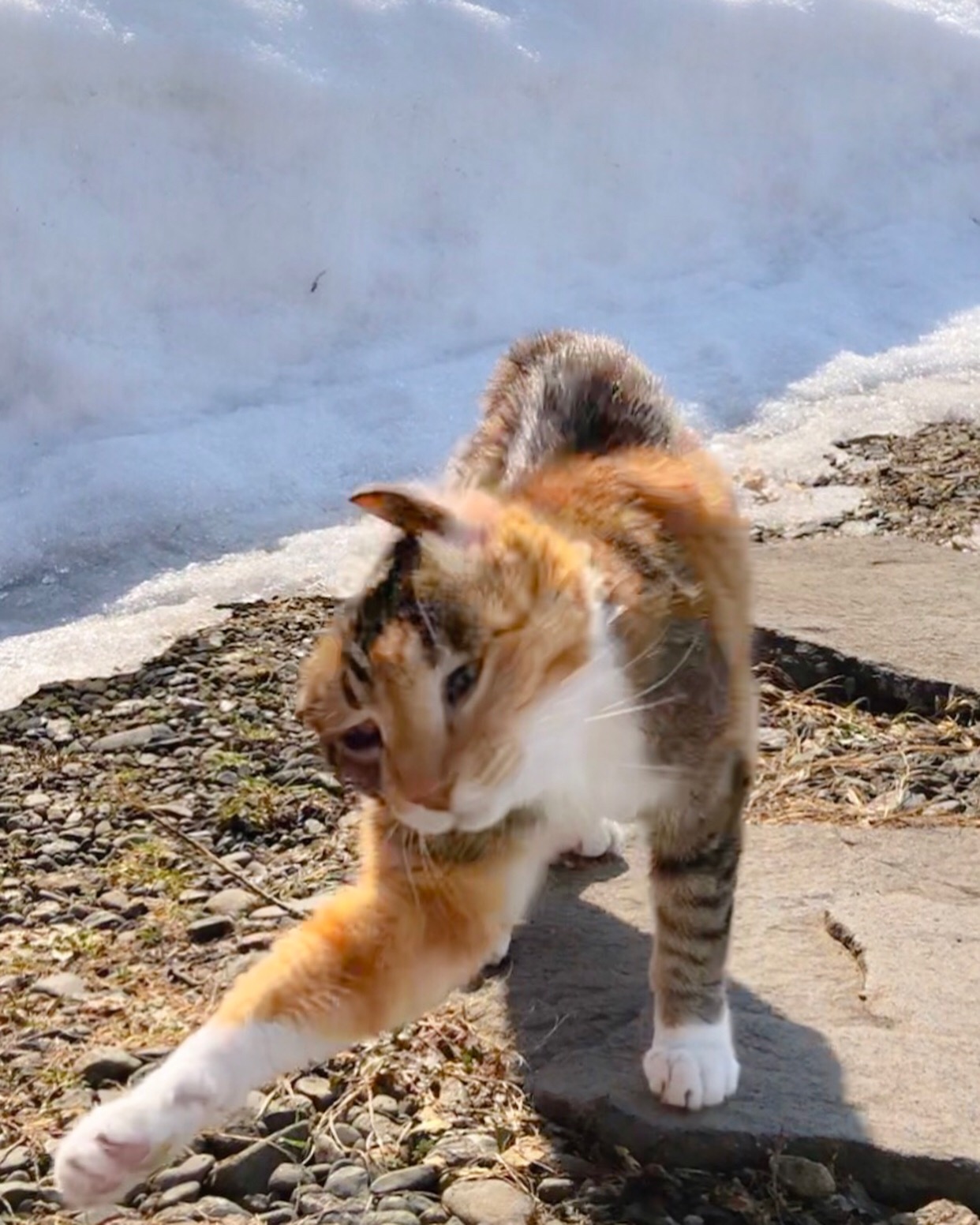 楽しい気分