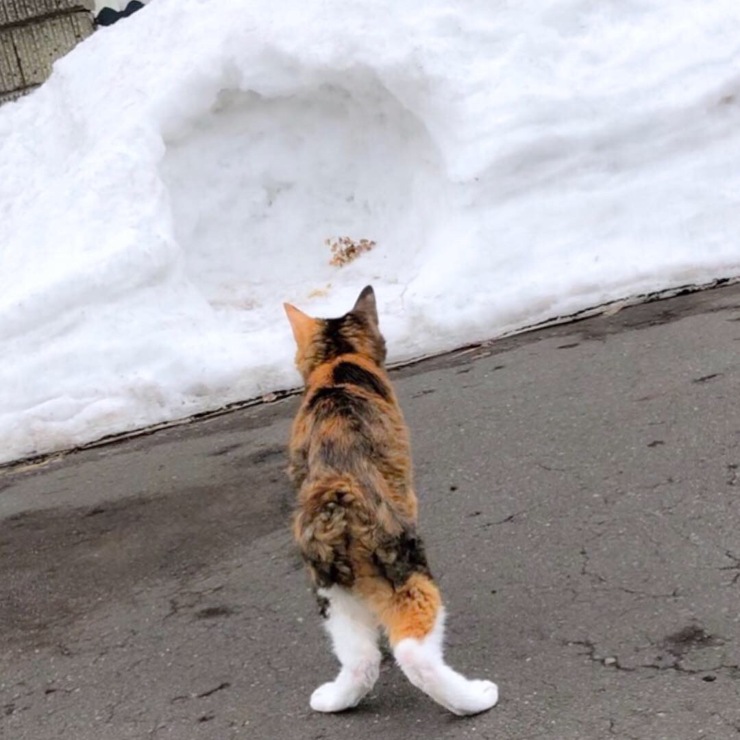 またね！