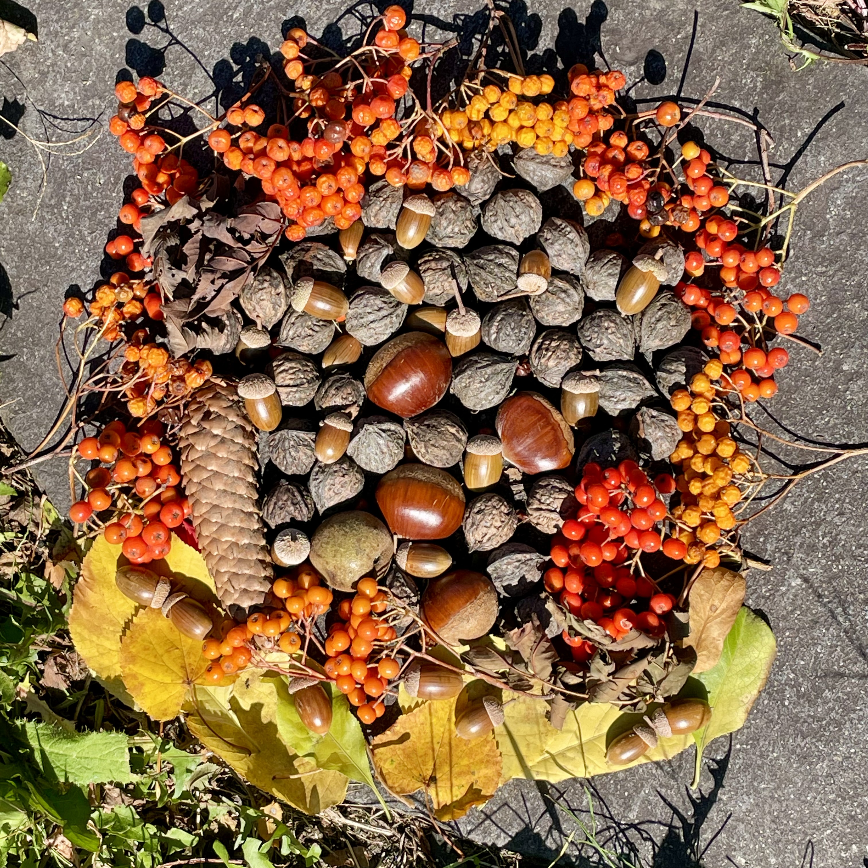 秋の収穫