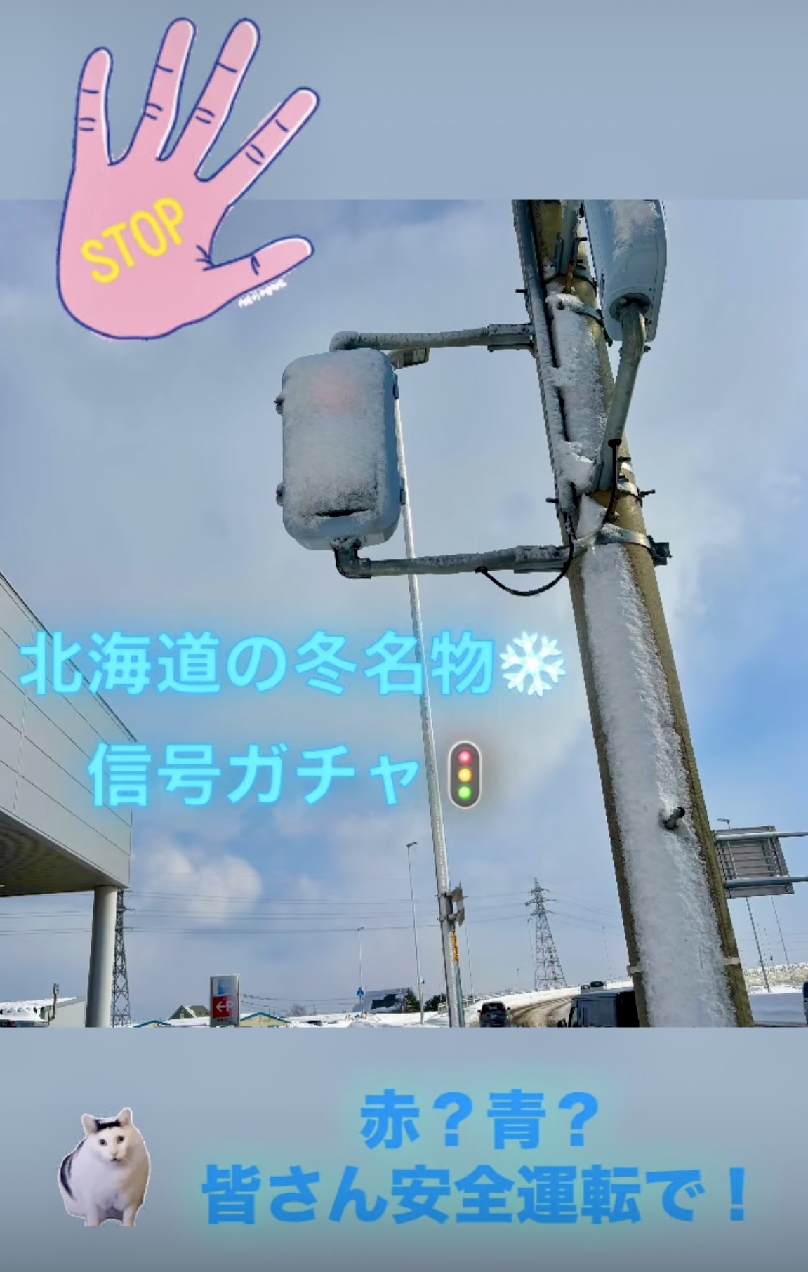 どっち？