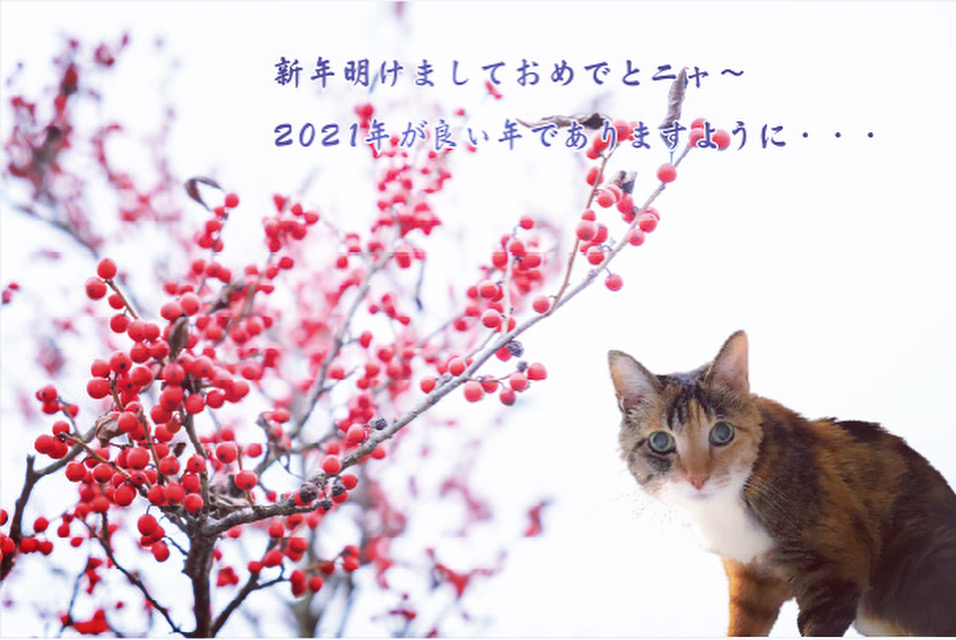 謹賀新年
