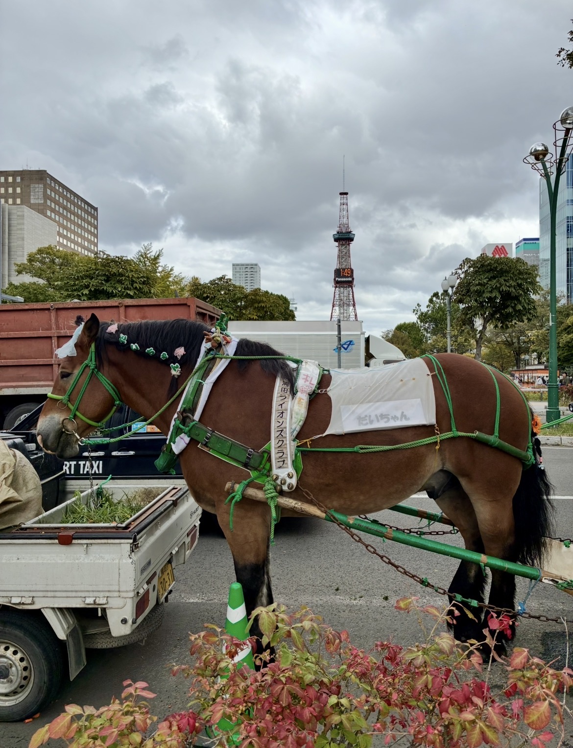 だいちゃん🐴