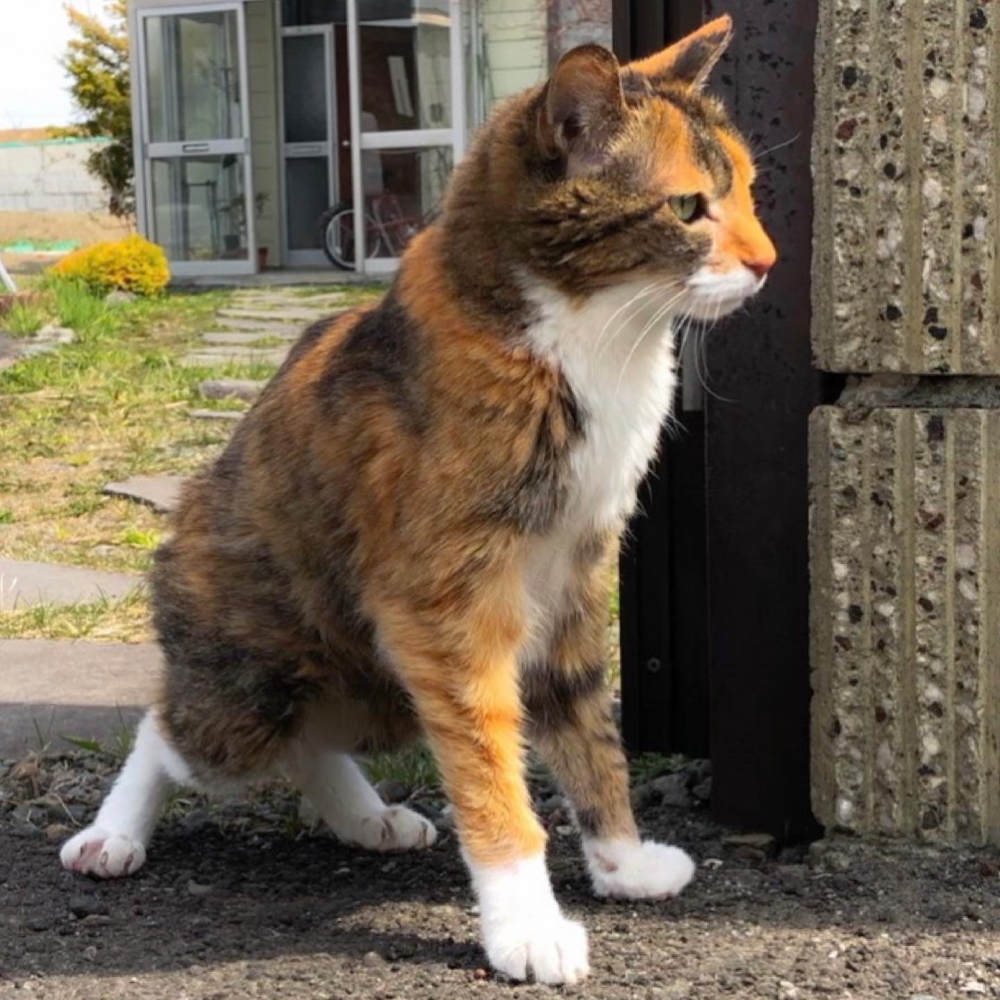 気になる事