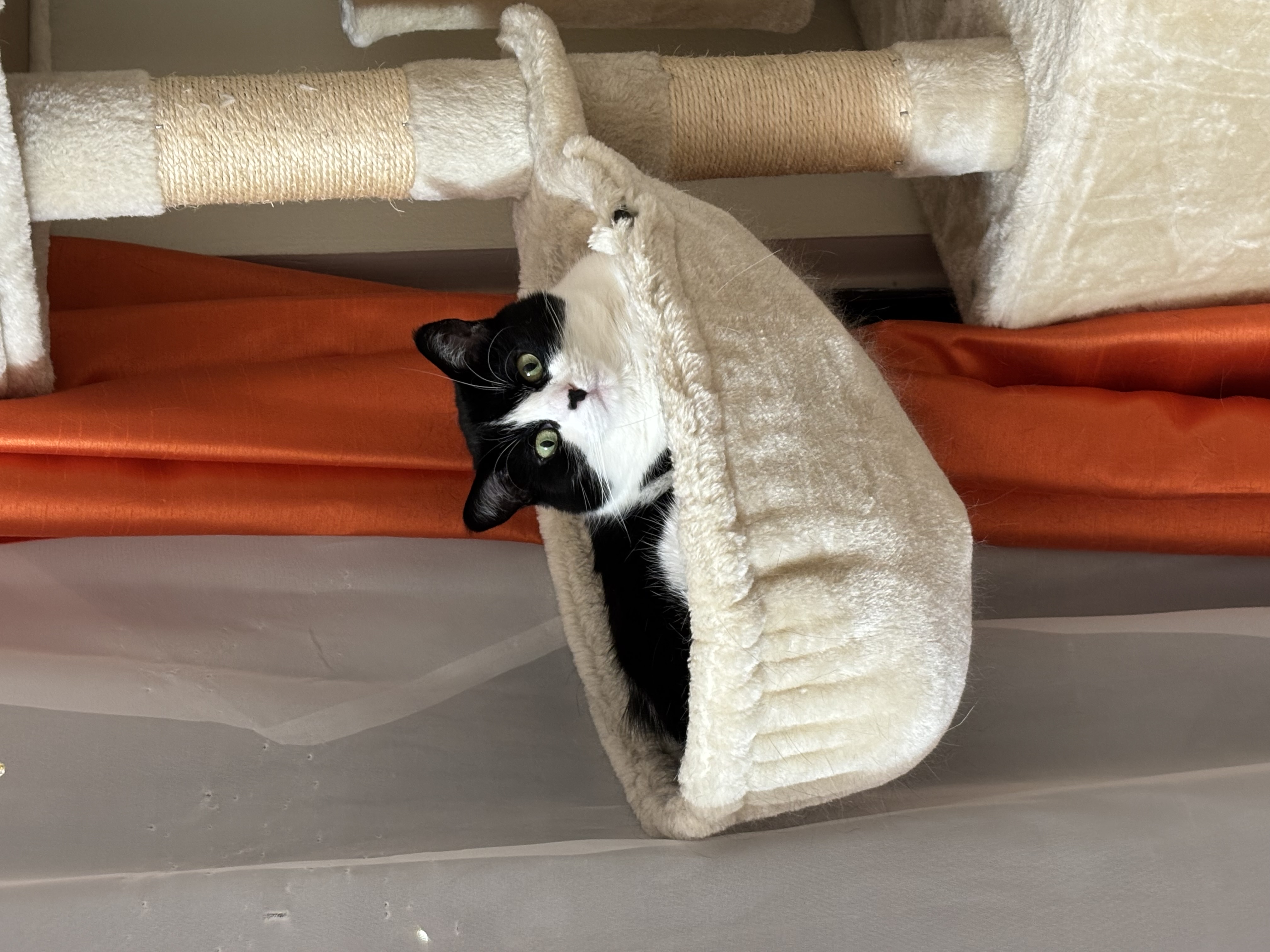キャンパス