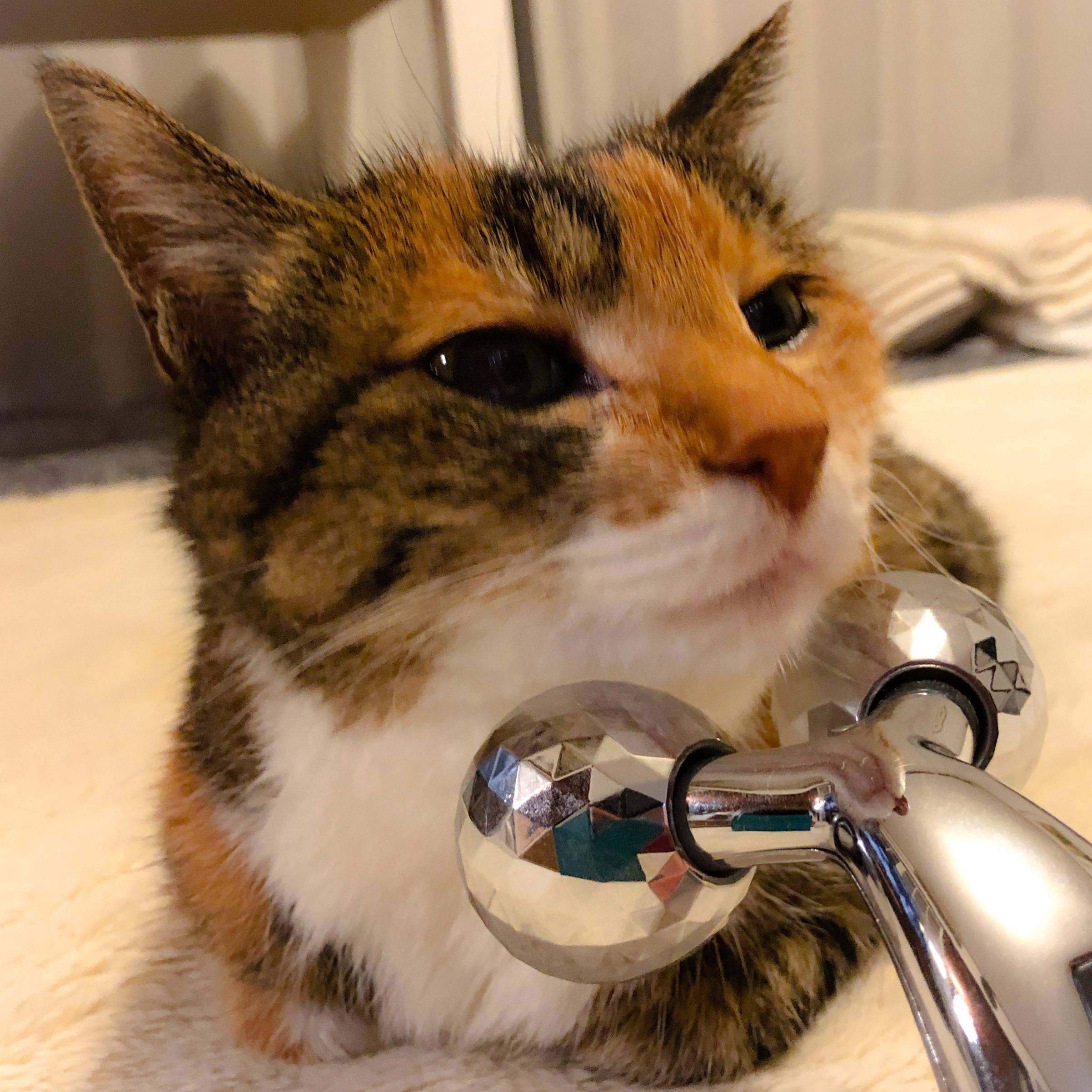 美顔ローラー