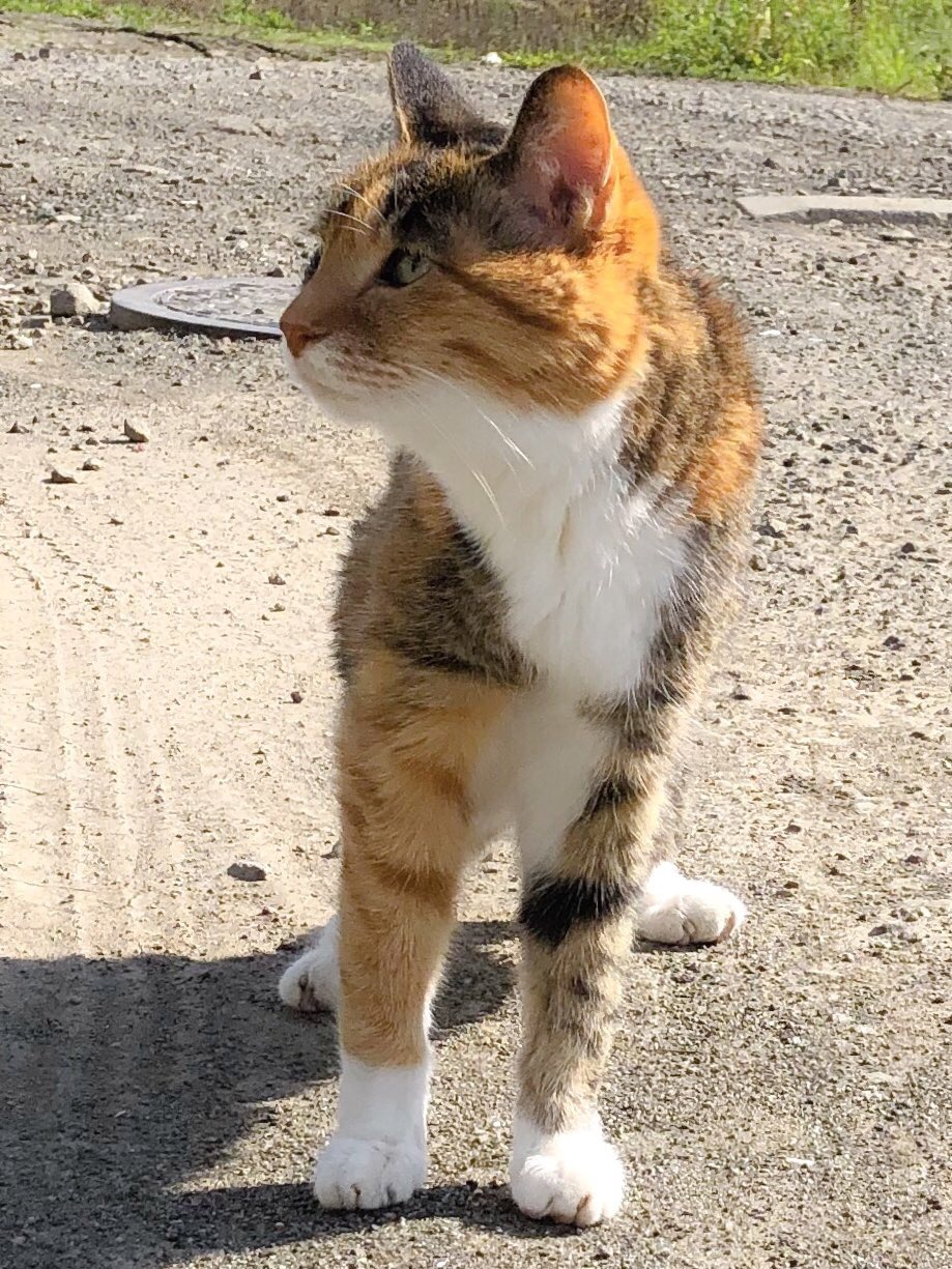 夏の終わり