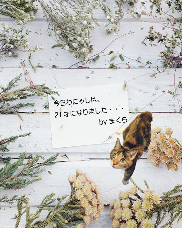 お誕生日