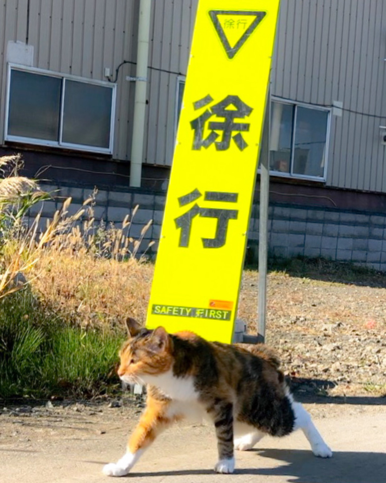 徐行運転