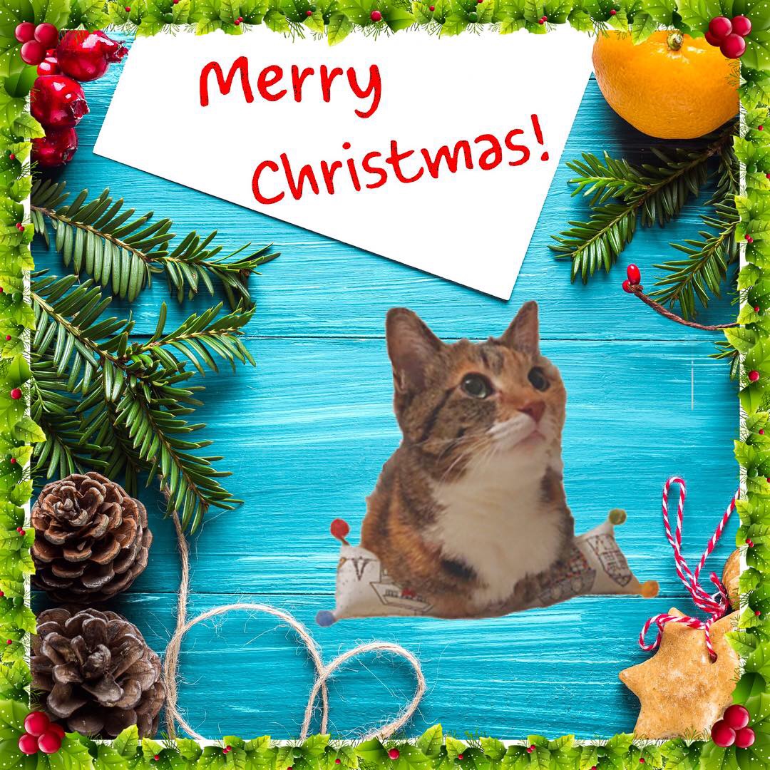 メリークリスマス