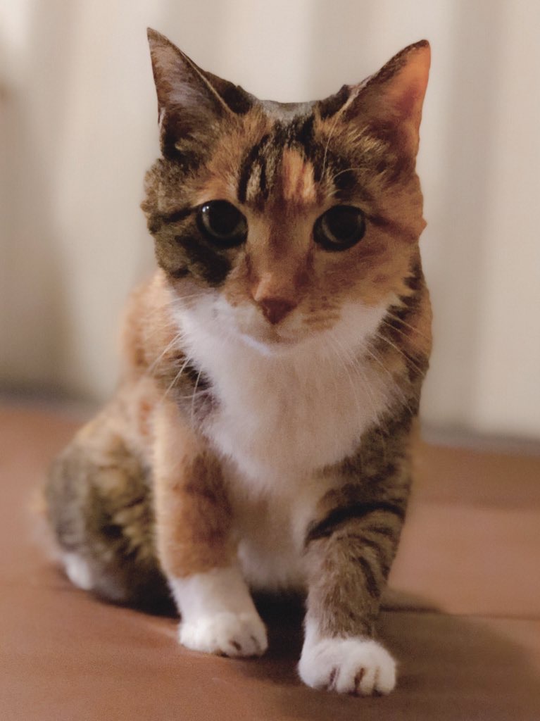 イルミネーション