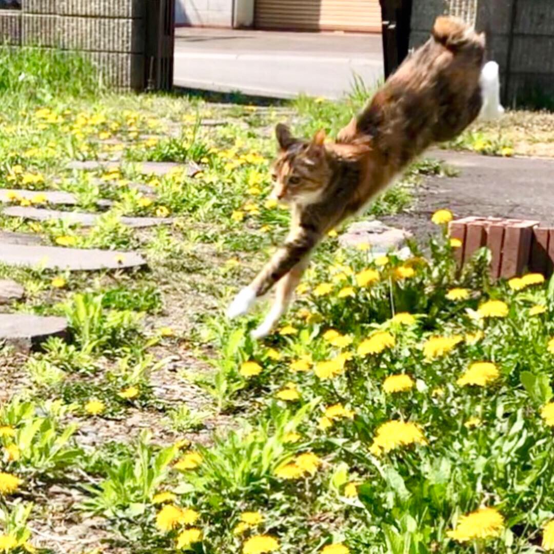 ジャンプ