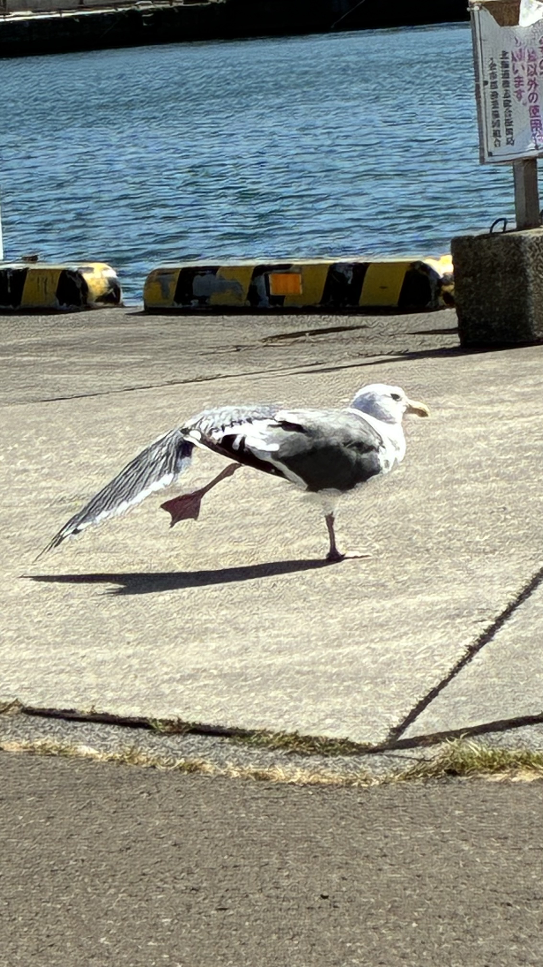 余市