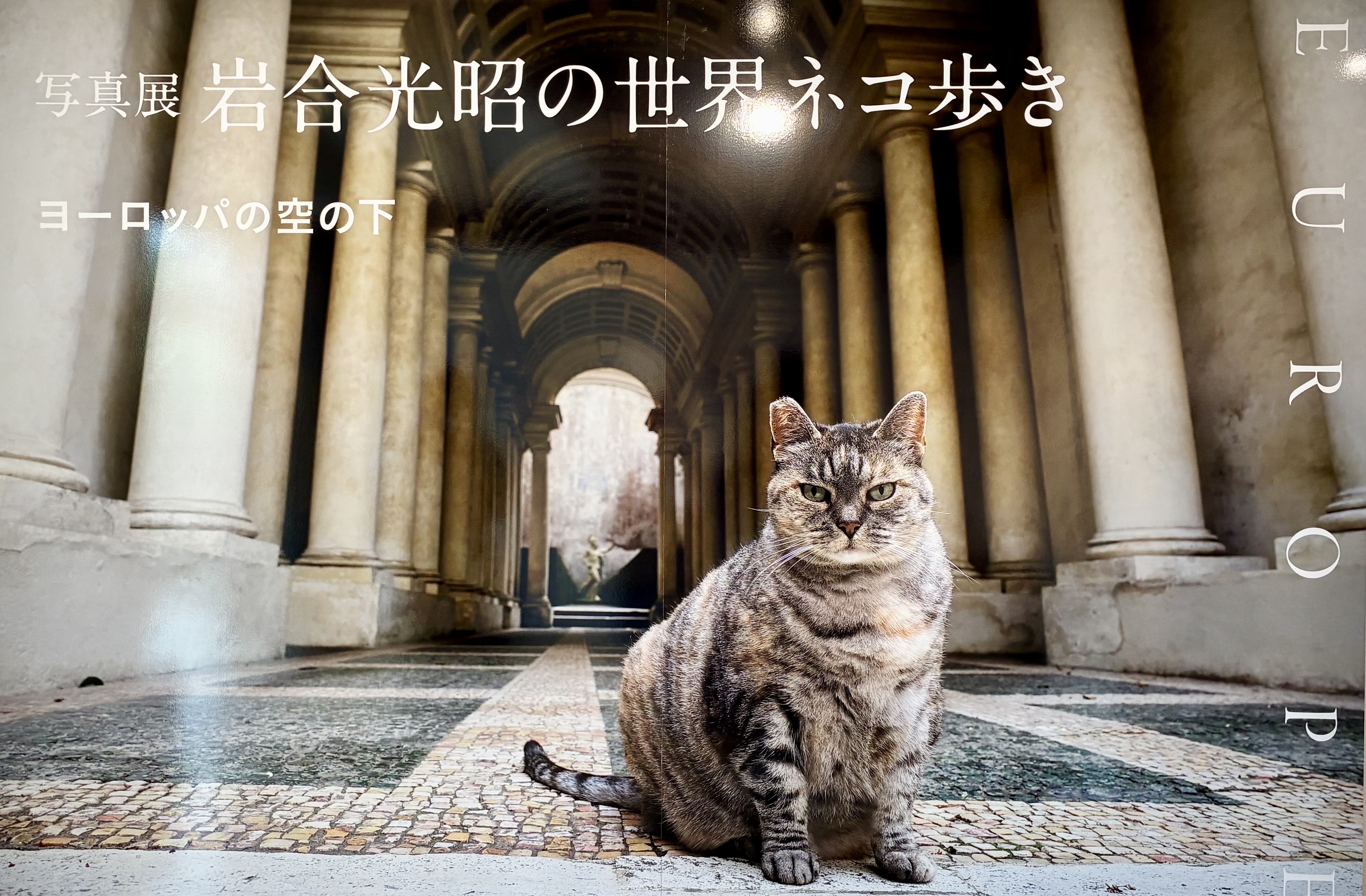 岩合光昭 写真展