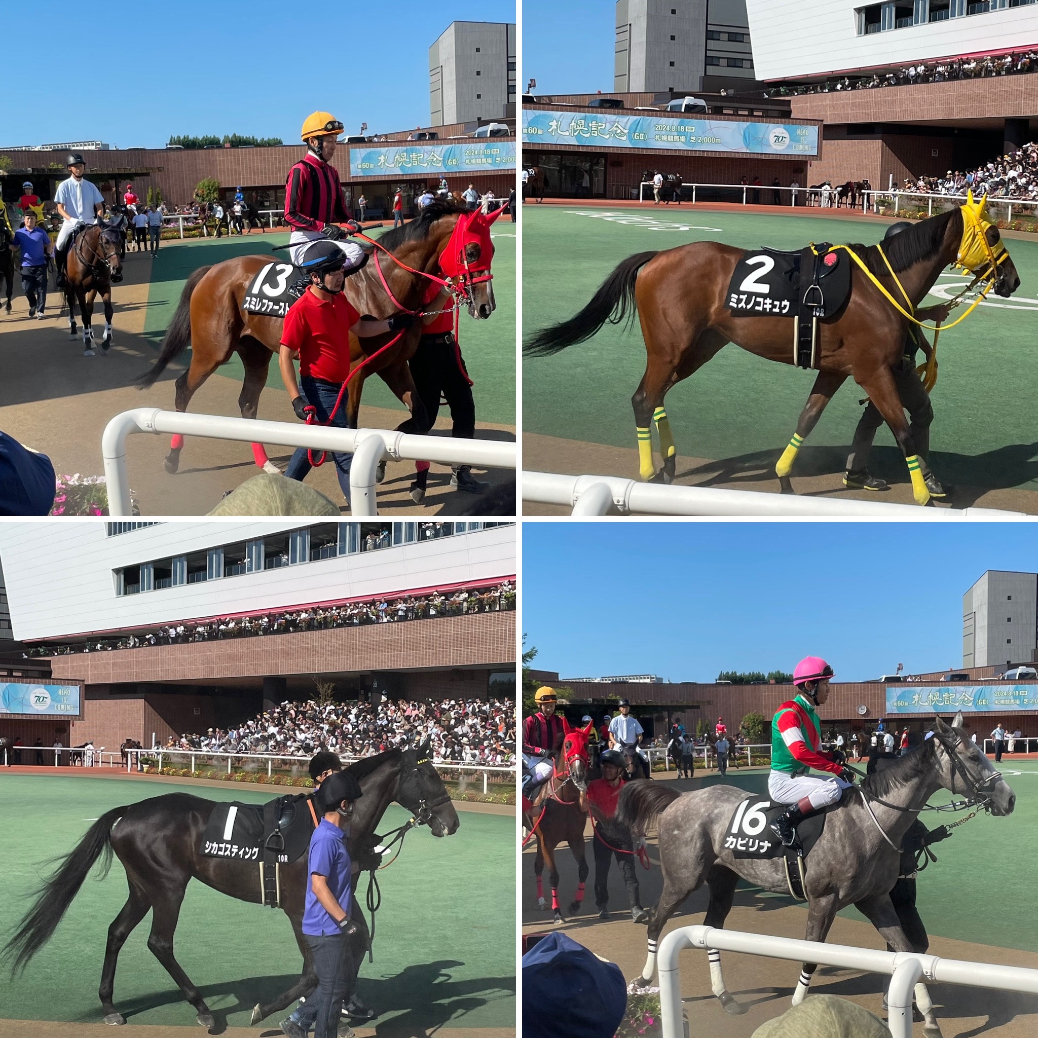 競馬