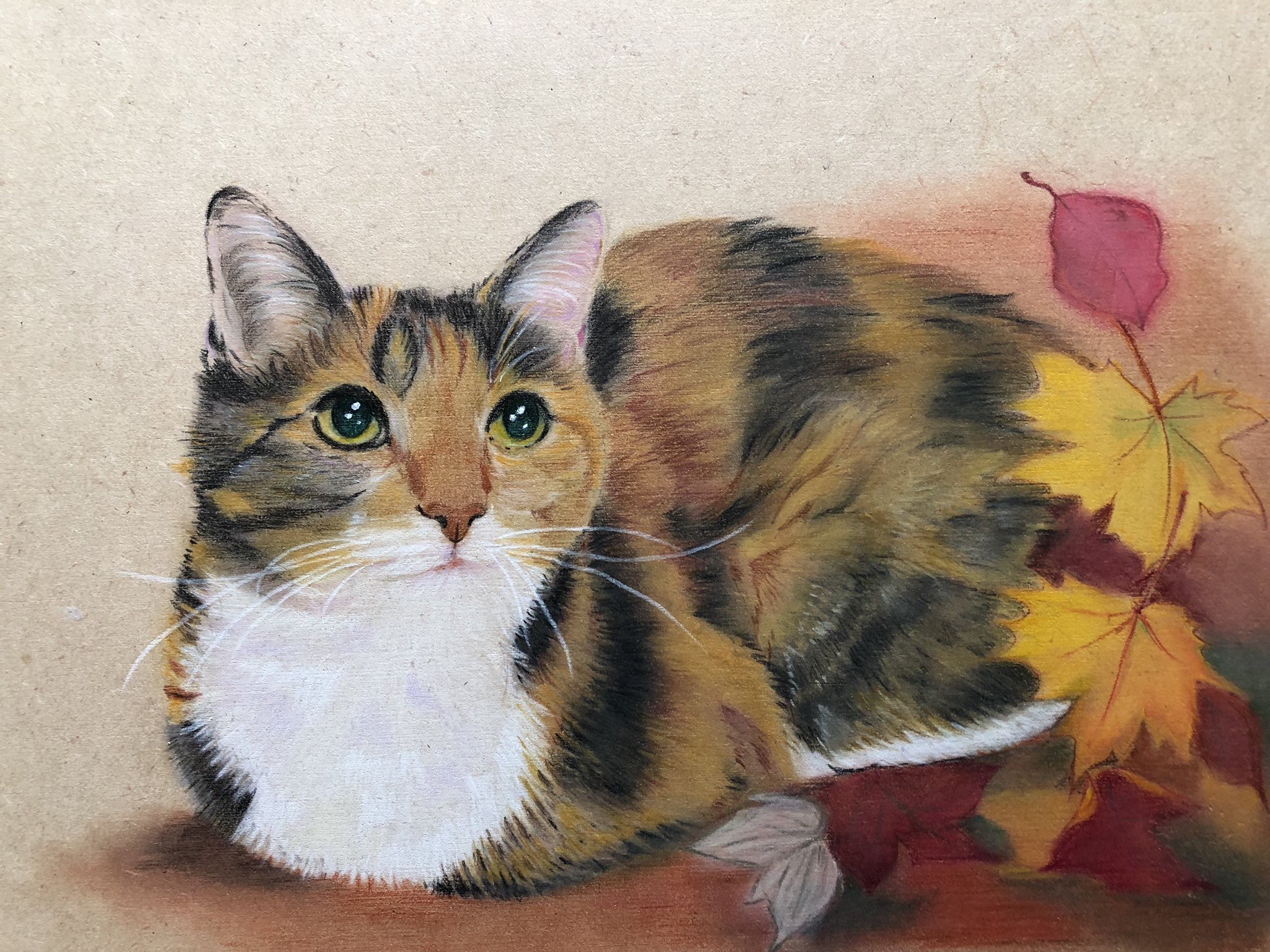 色鉛筆画