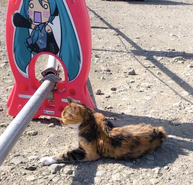 休日のパトロール