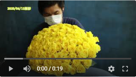 黄色いバラ「ソラーレ」で作る100本のバラの花束制作動画　2020.06.15撮影