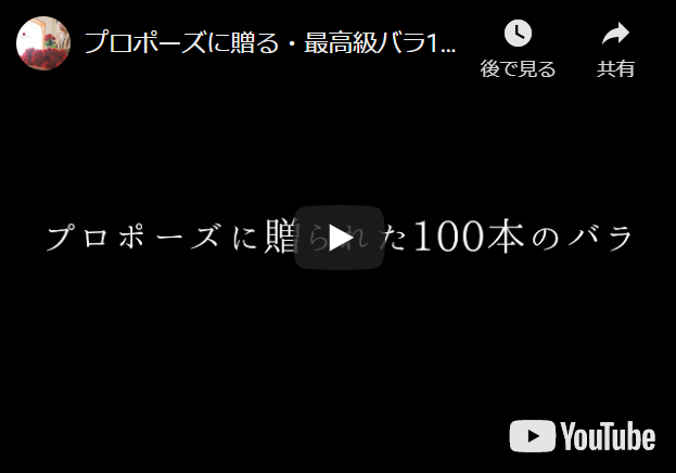 プロポーズに・最高級バラ100本の花束制作動画2020.11.21撮影