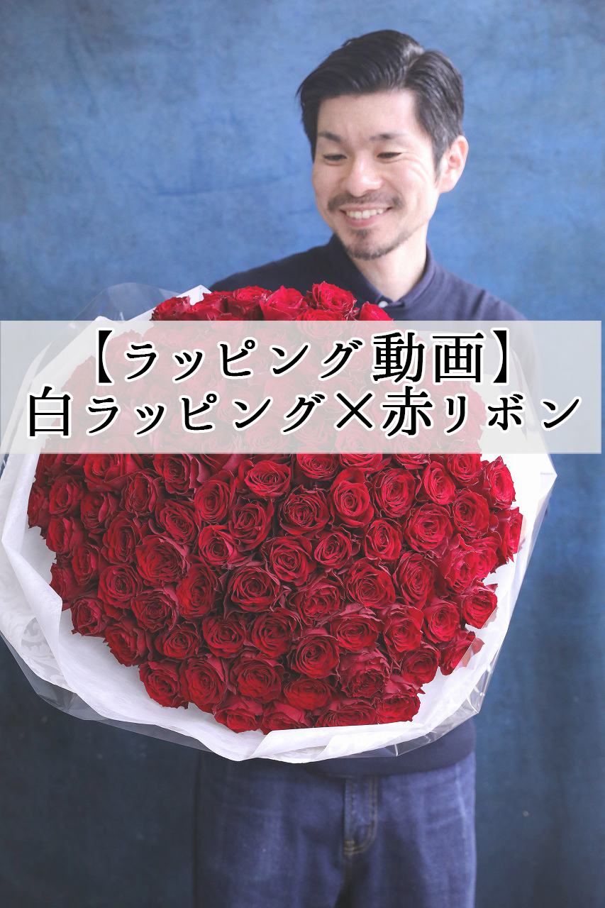 【ラッピング動画】白ラッピング×赤リボン プロポーズに贈る赤バラ108本の花束